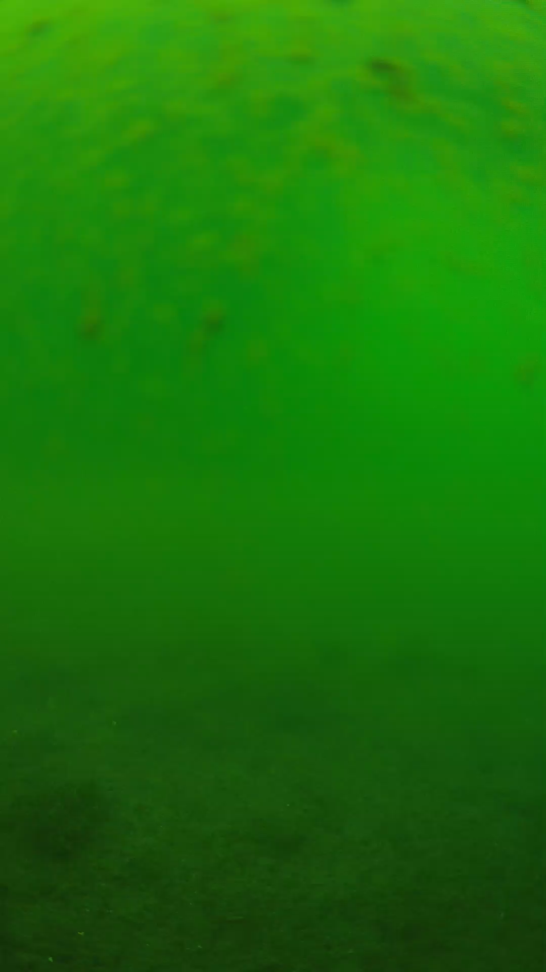 lander_ipcam_20240625093538.png