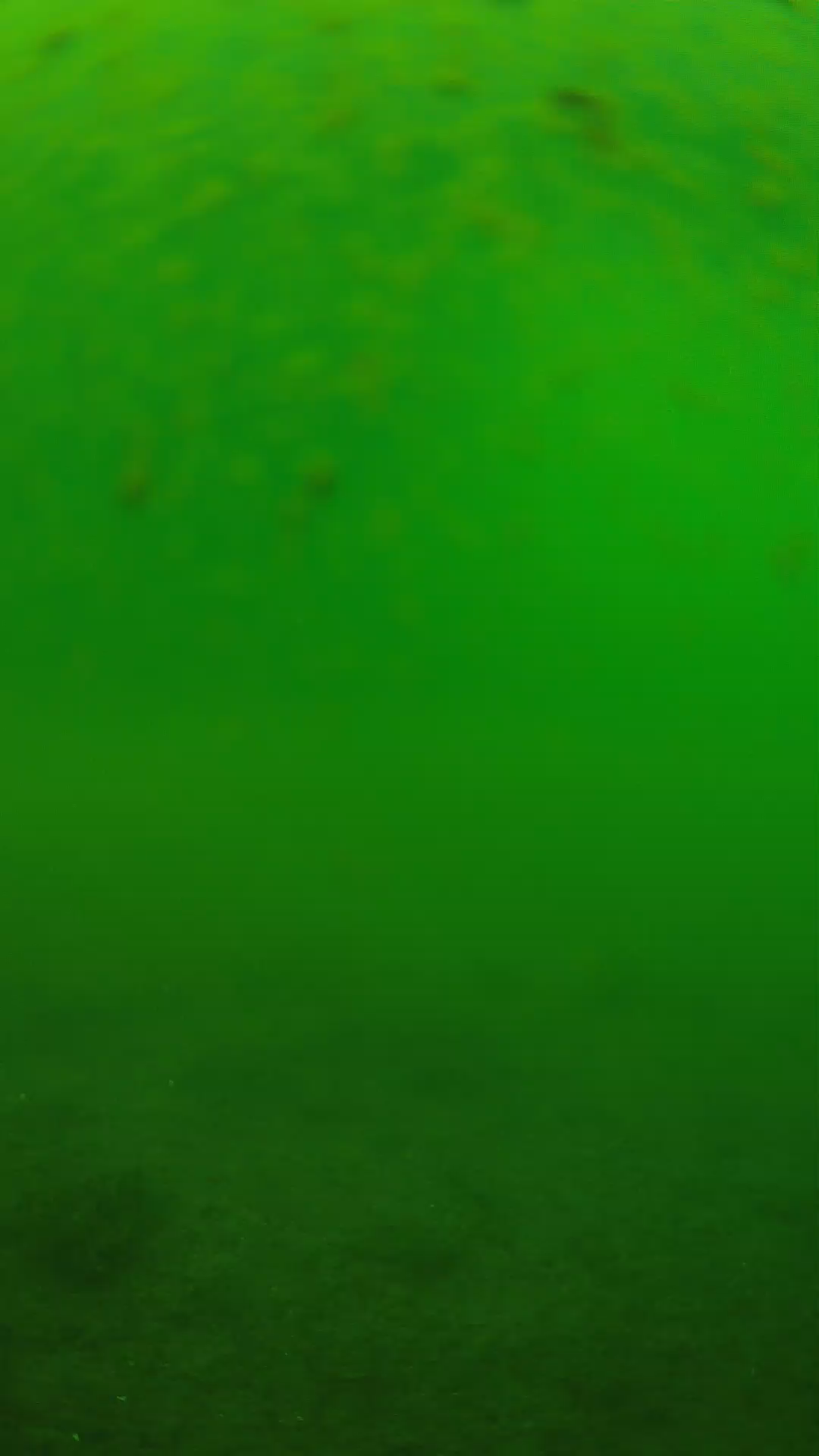lander_ipcam_20240625093541.png