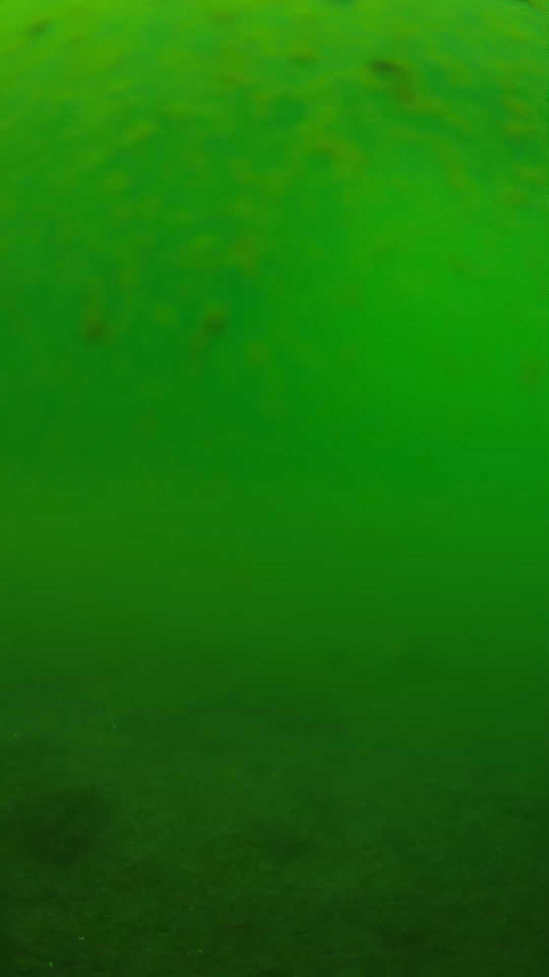 lander_ipcam_20240625093546.png