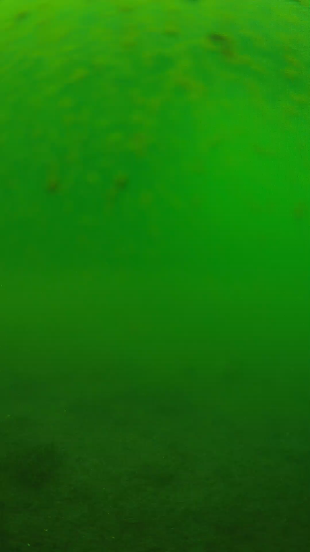 lander_ipcam_20240625093548.png