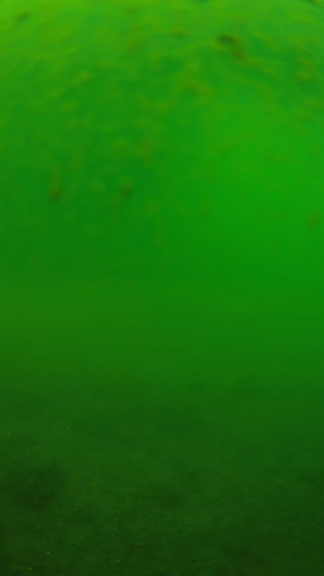 lander_ipcam_20240625093549.png