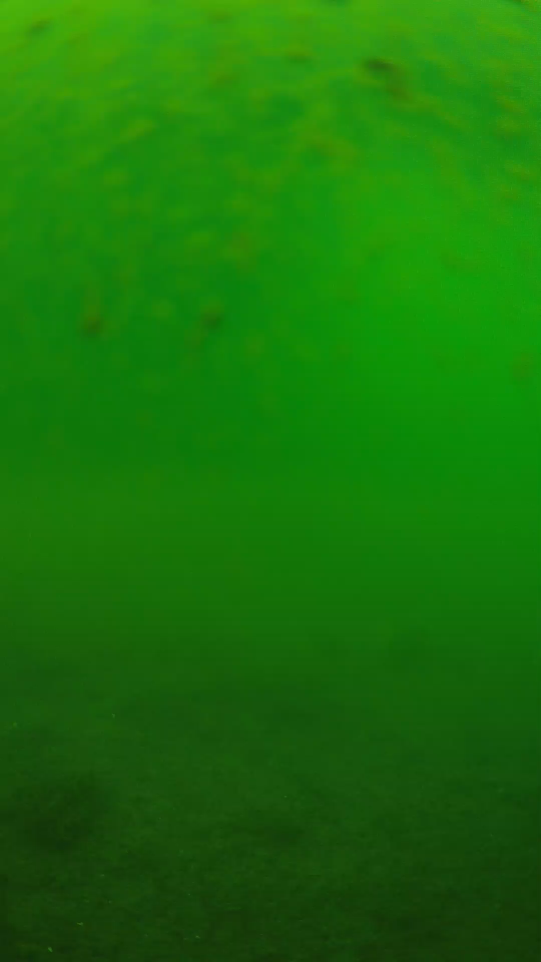 lander_ipcam_20240625093551.png