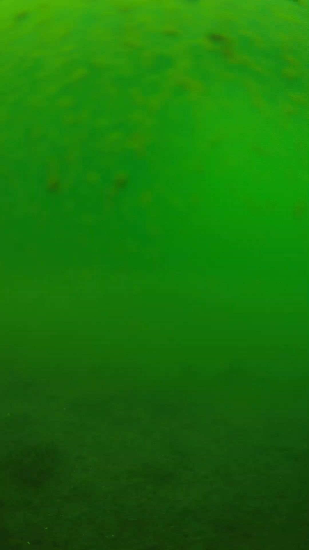 lander_ipcam_20240625093552.png
