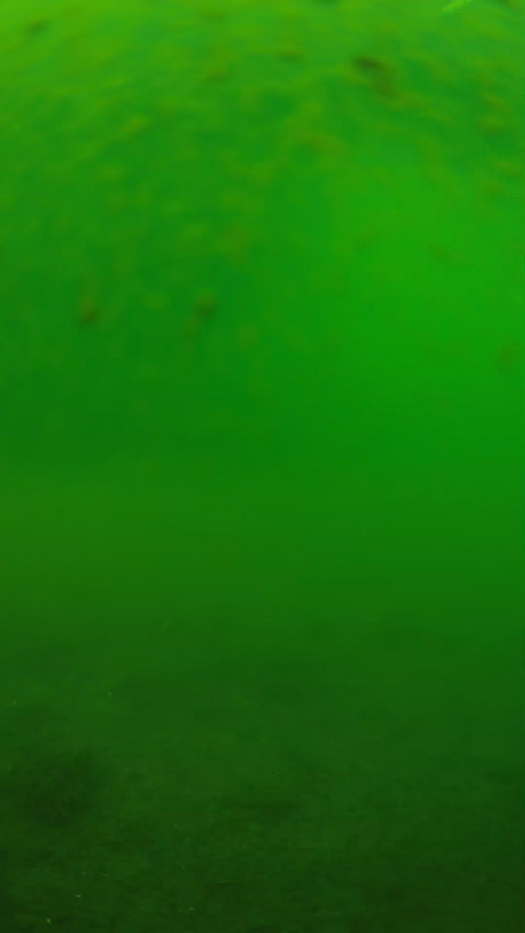 lander_ipcam_20240625093607.png