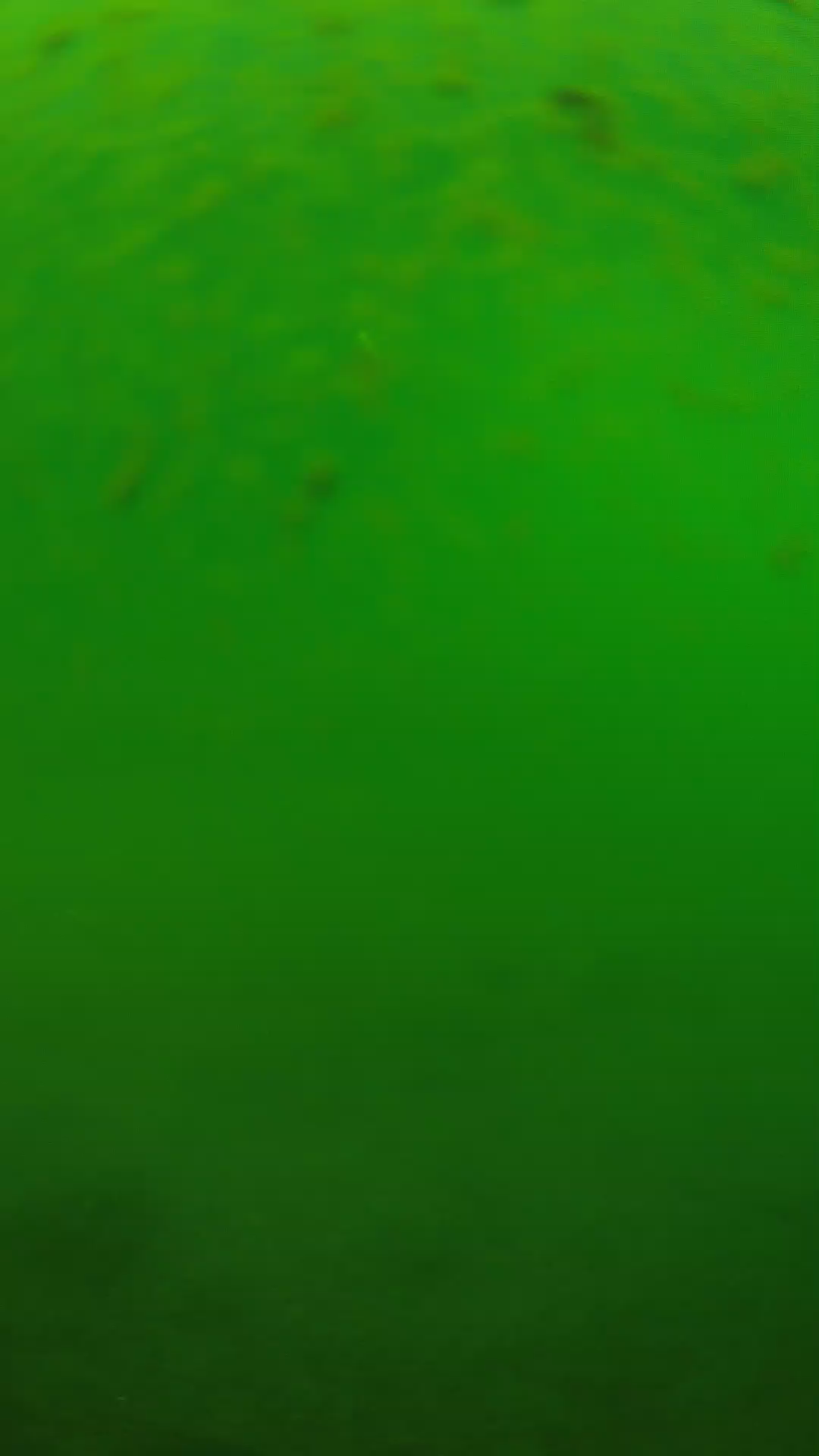 lander_ipcam_20240625100538.png