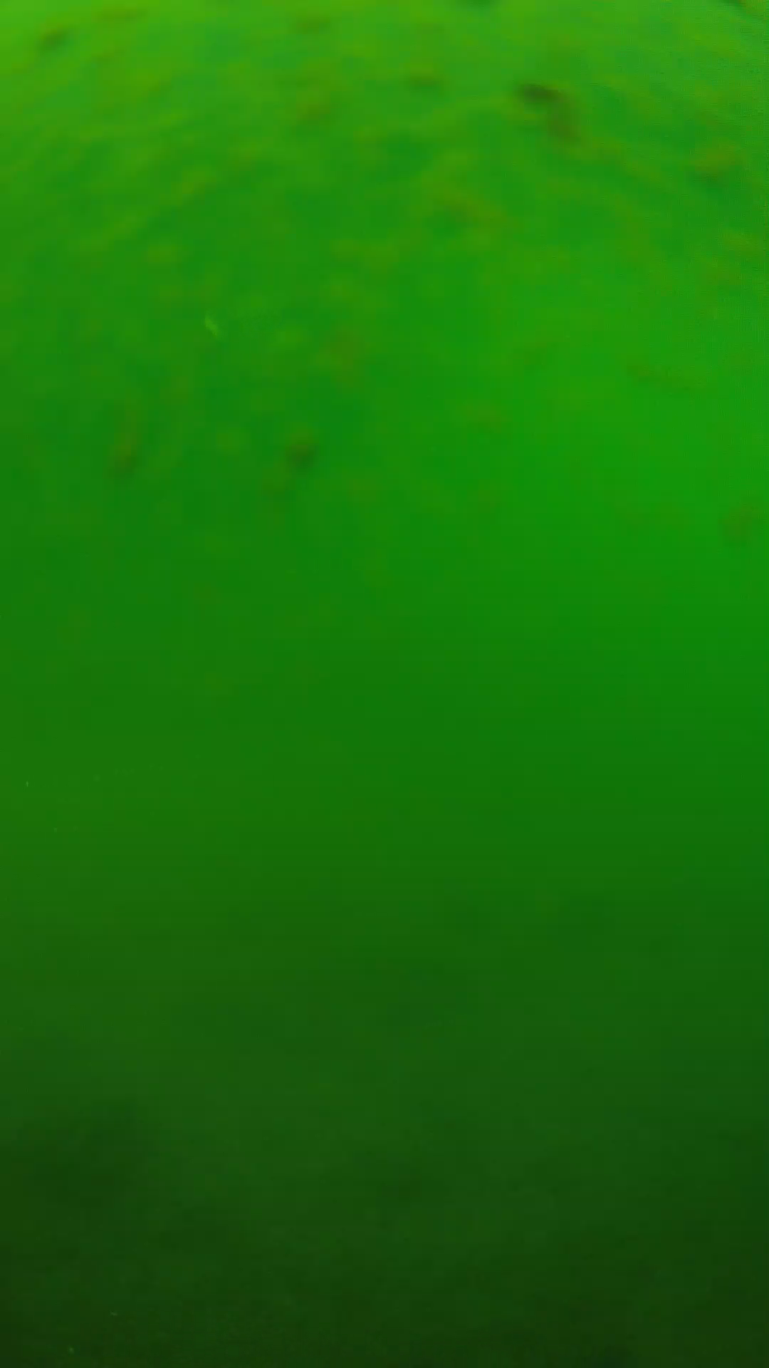 lander_ipcam_20240625100539.png