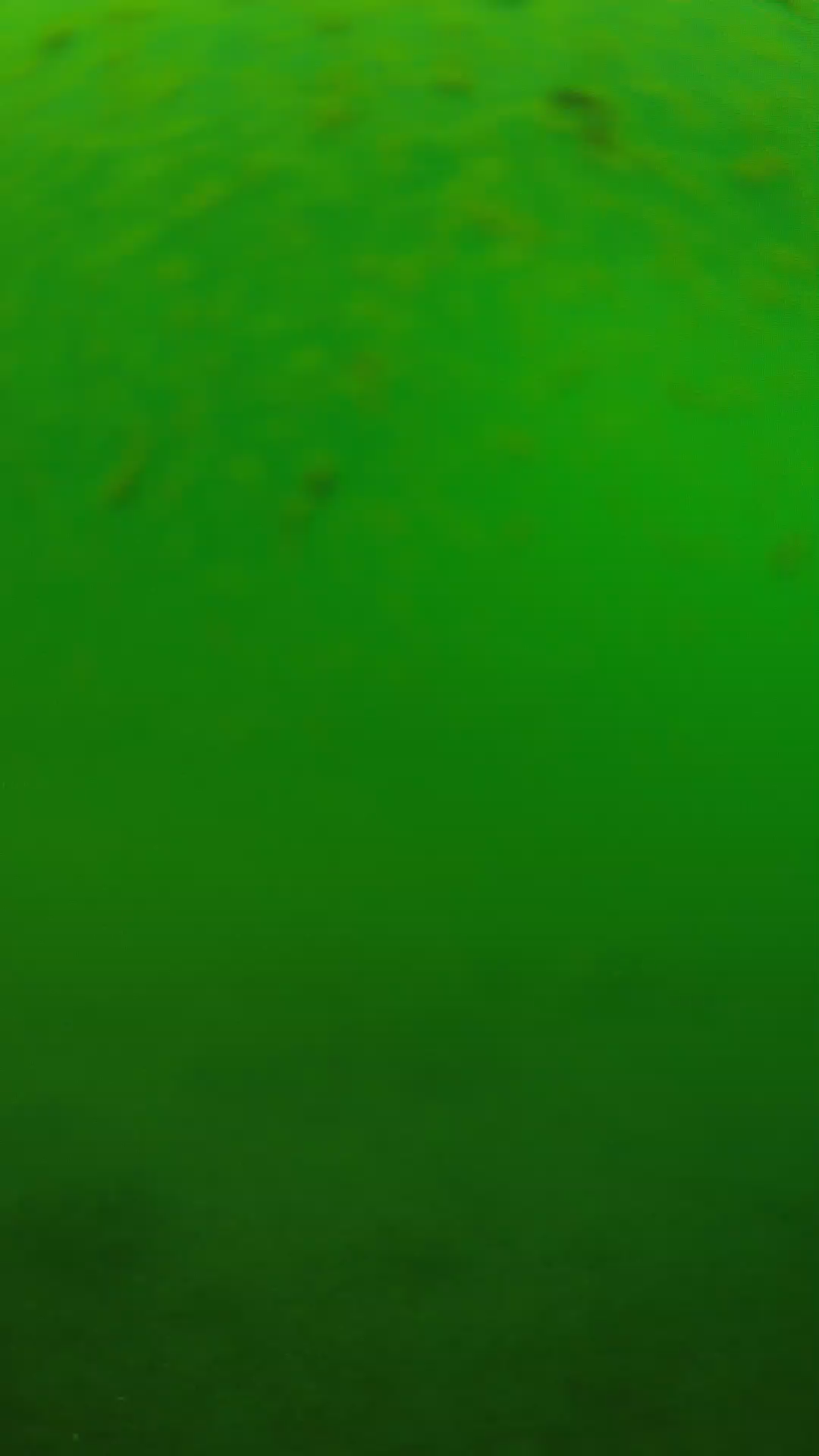 lander_ipcam_20240625100541.png