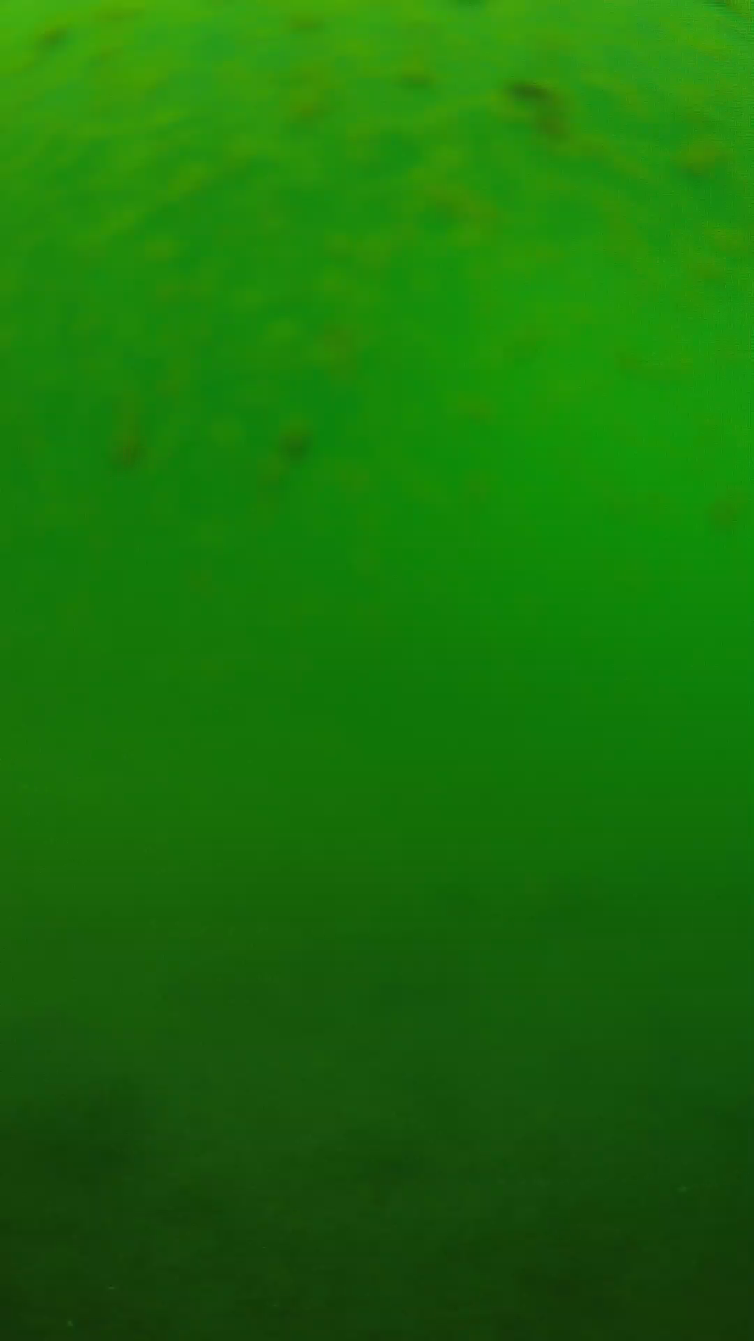 lander_ipcam_20240625100542.png