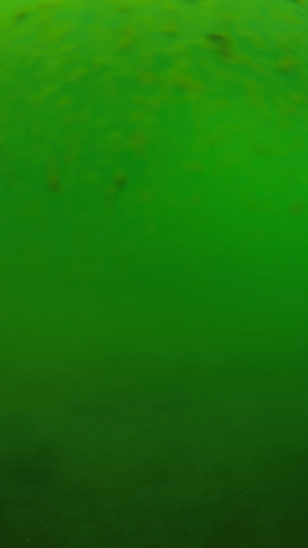 lander_ipcam_20240625100543.png