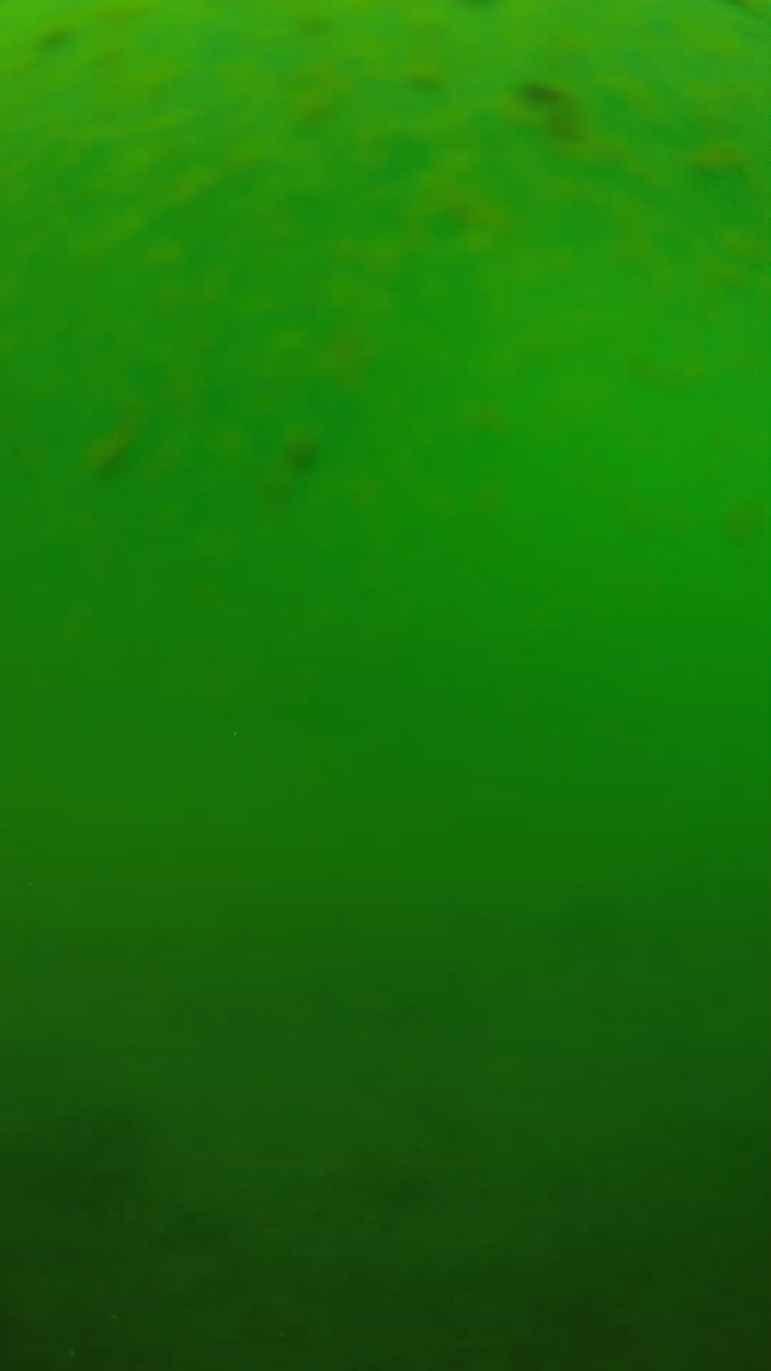 lander_ipcam_20240625100544.png