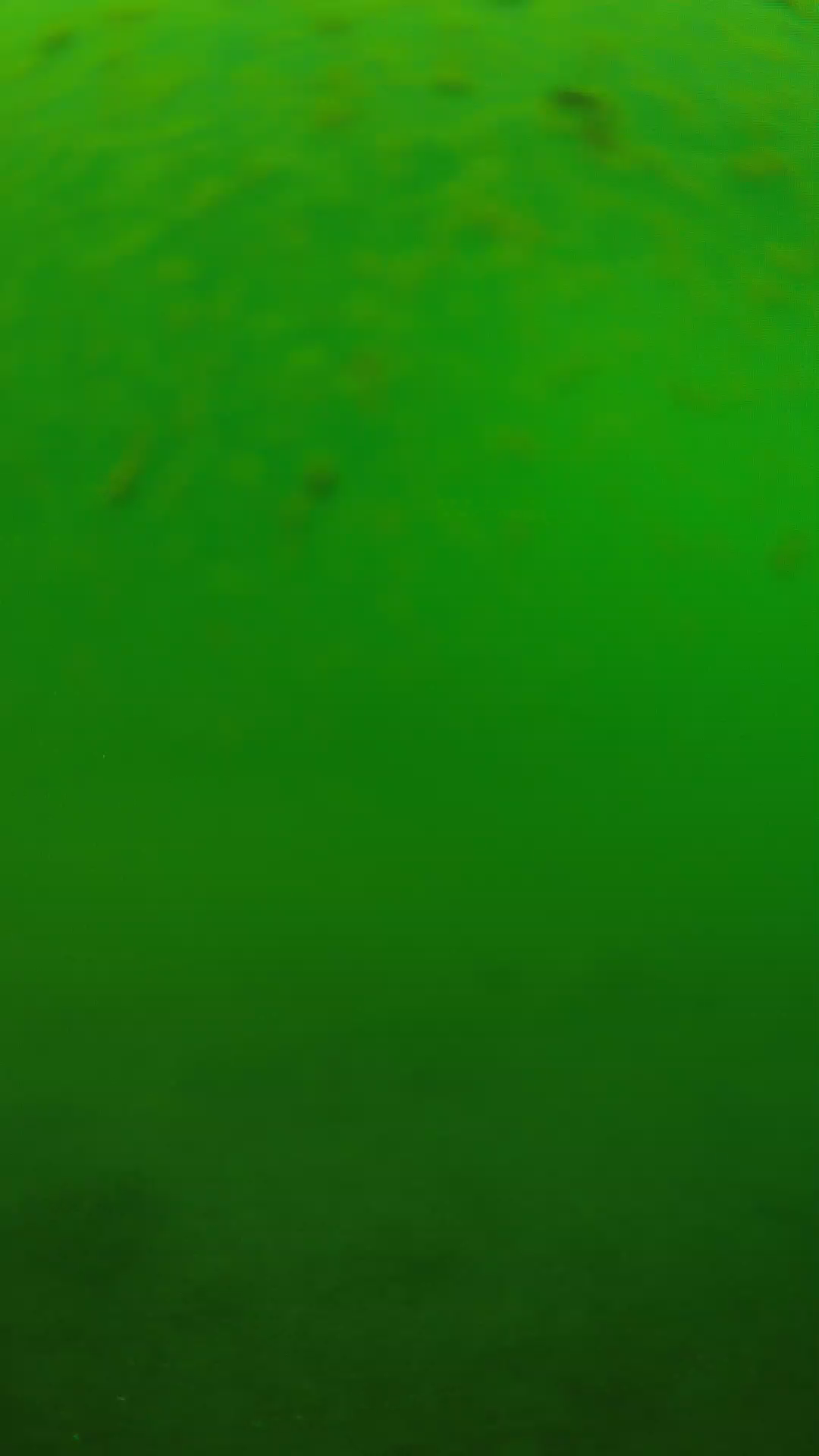 lander_ipcam_20240625100545.png