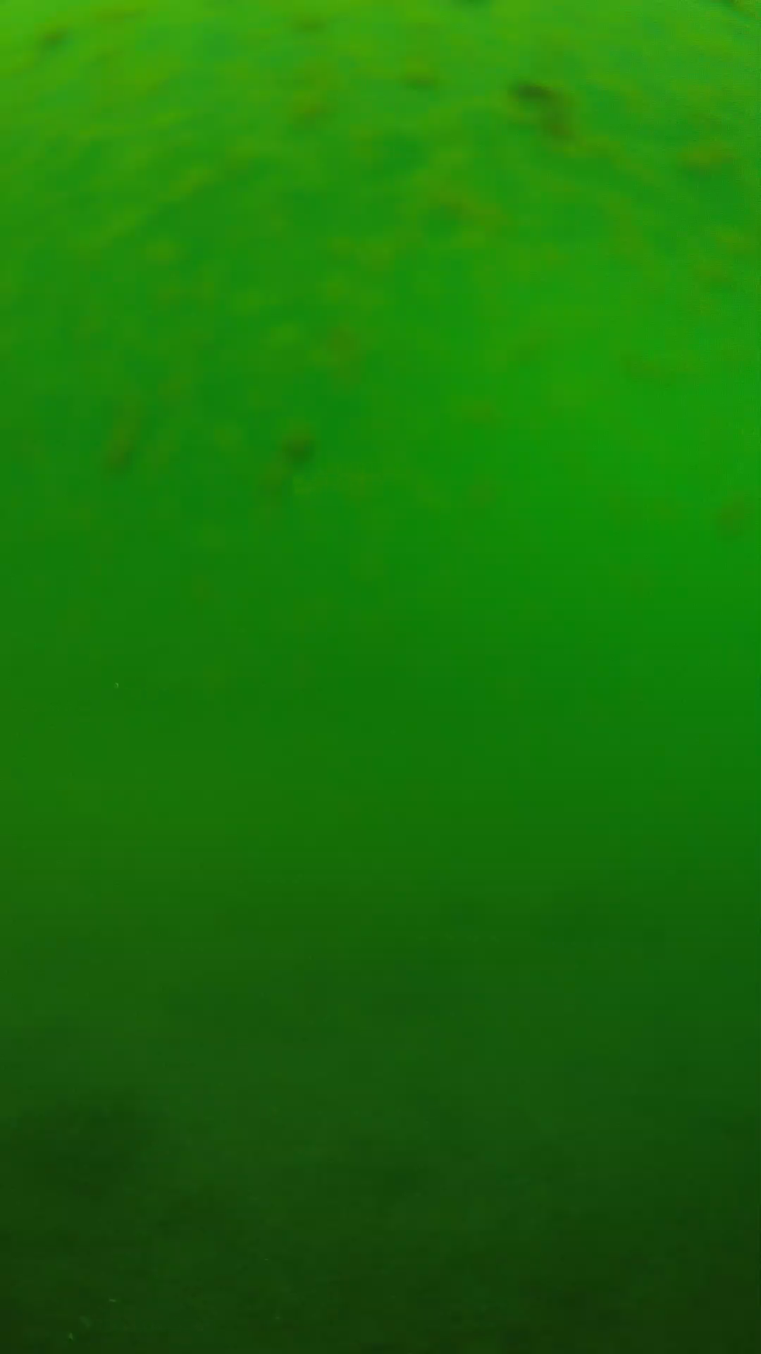 lander_ipcam_20240625100546.png