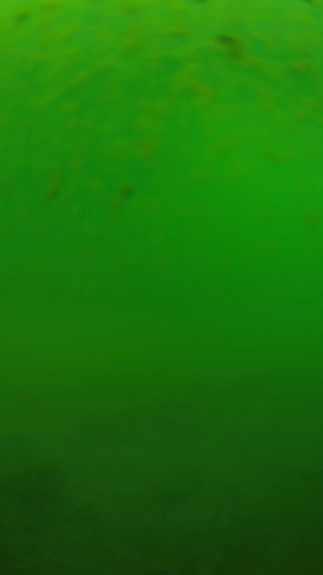 lander_ipcam_20240625100547.png