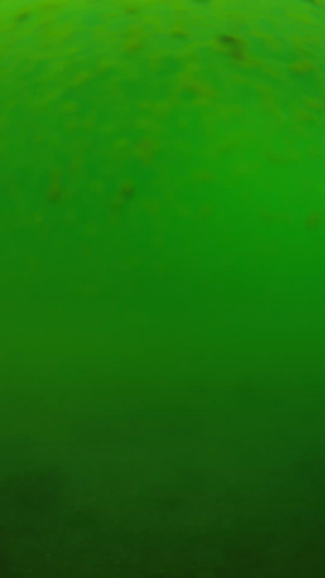 lander_ipcam_20240625100548.png