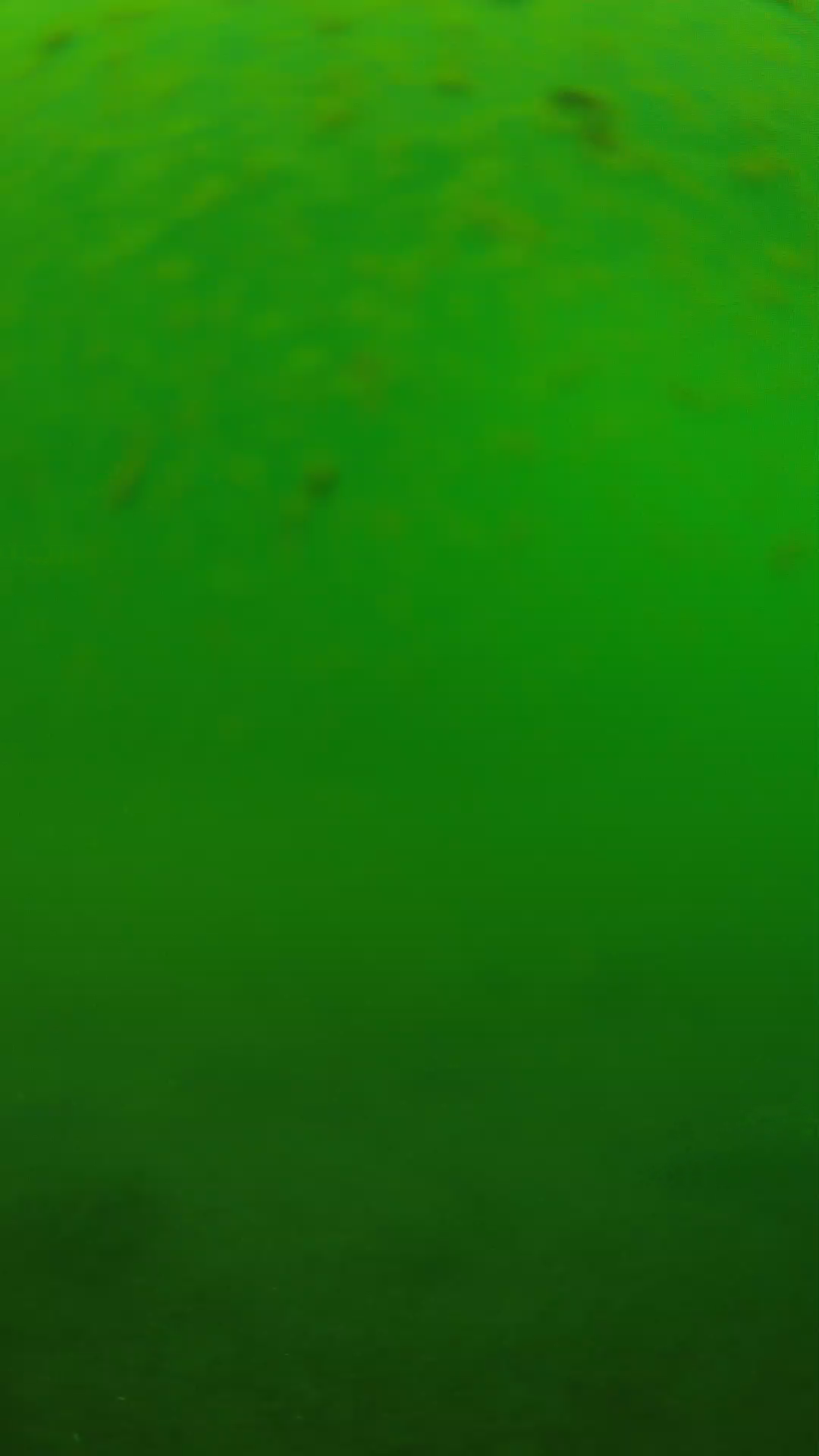 lander_ipcam_20240625100549.png