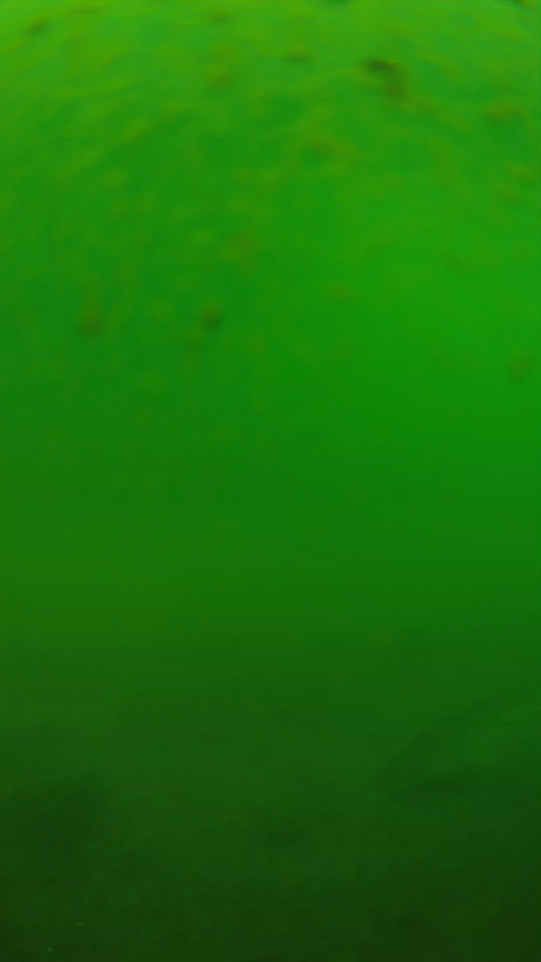 lander_ipcam_20240625100550.png
