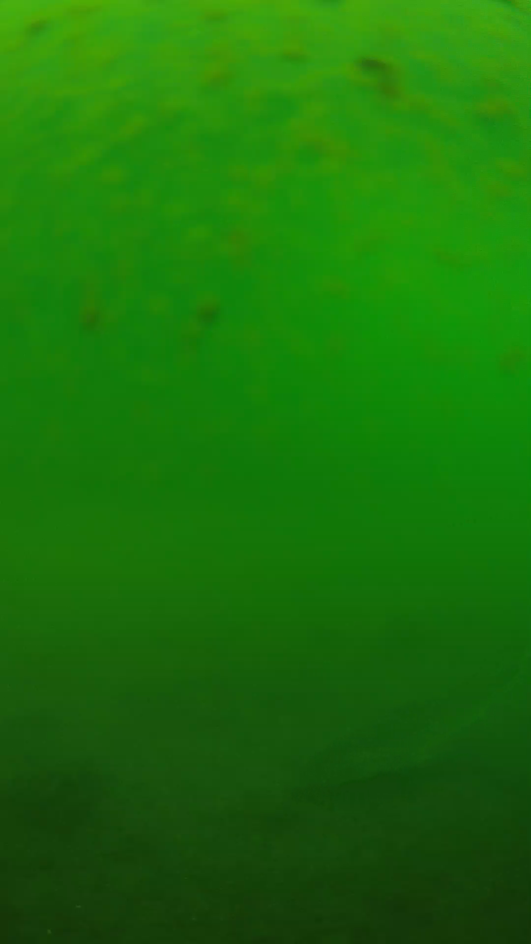 lander_ipcam_20240625100551.png
