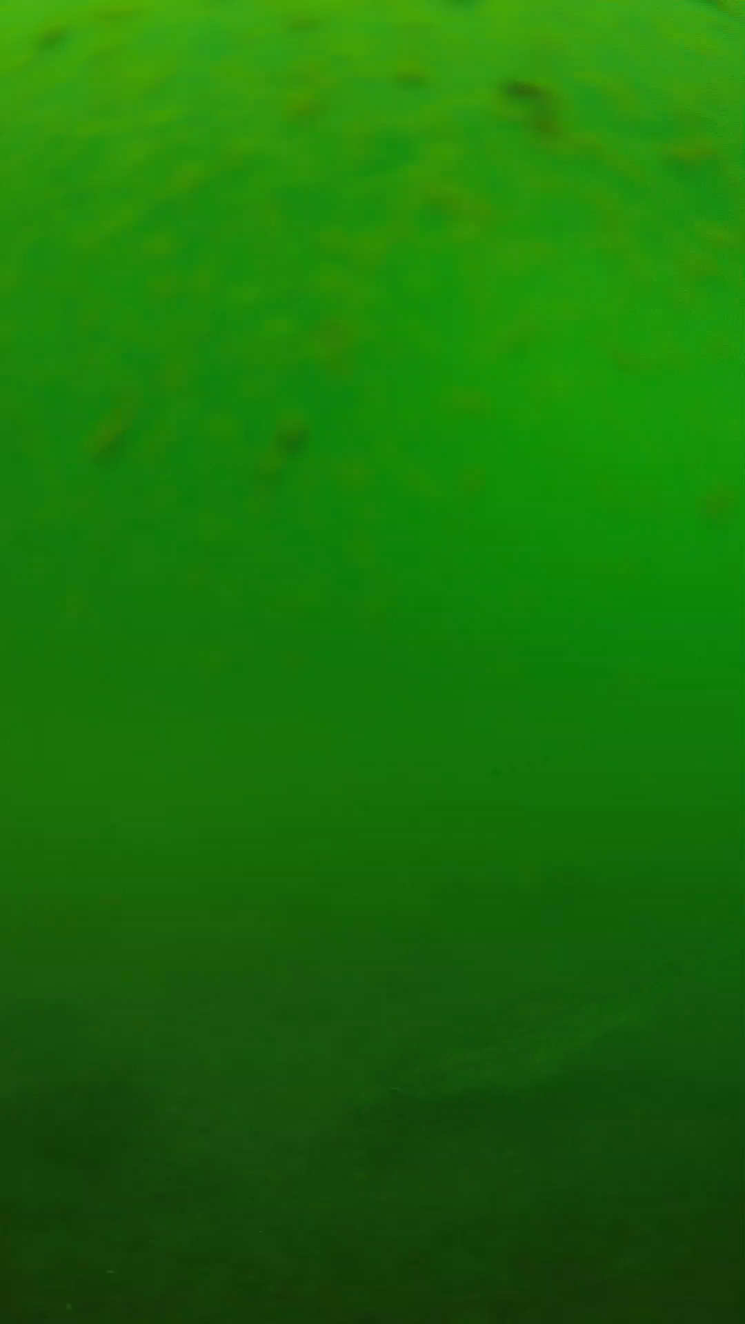 lander_ipcam_20240625100552.png