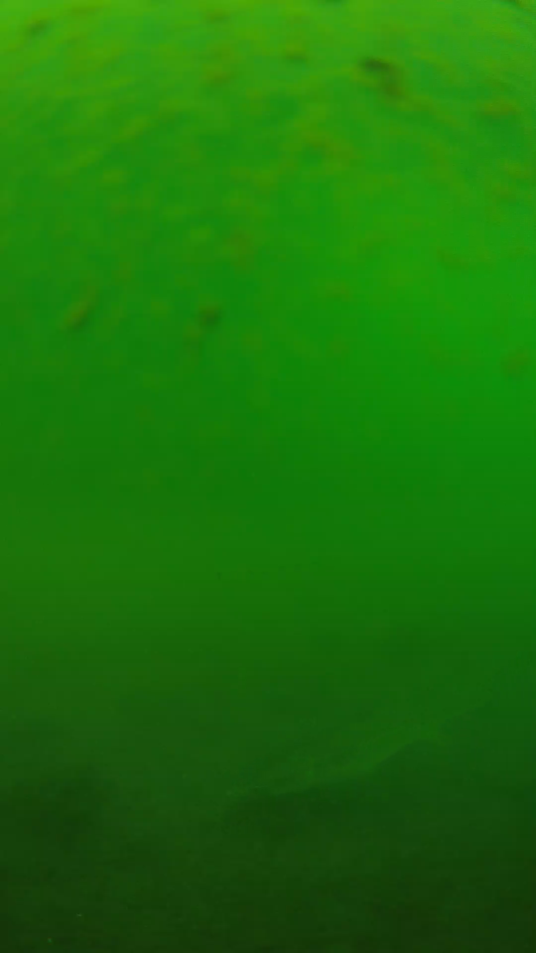 lander_ipcam_20240625100553.png