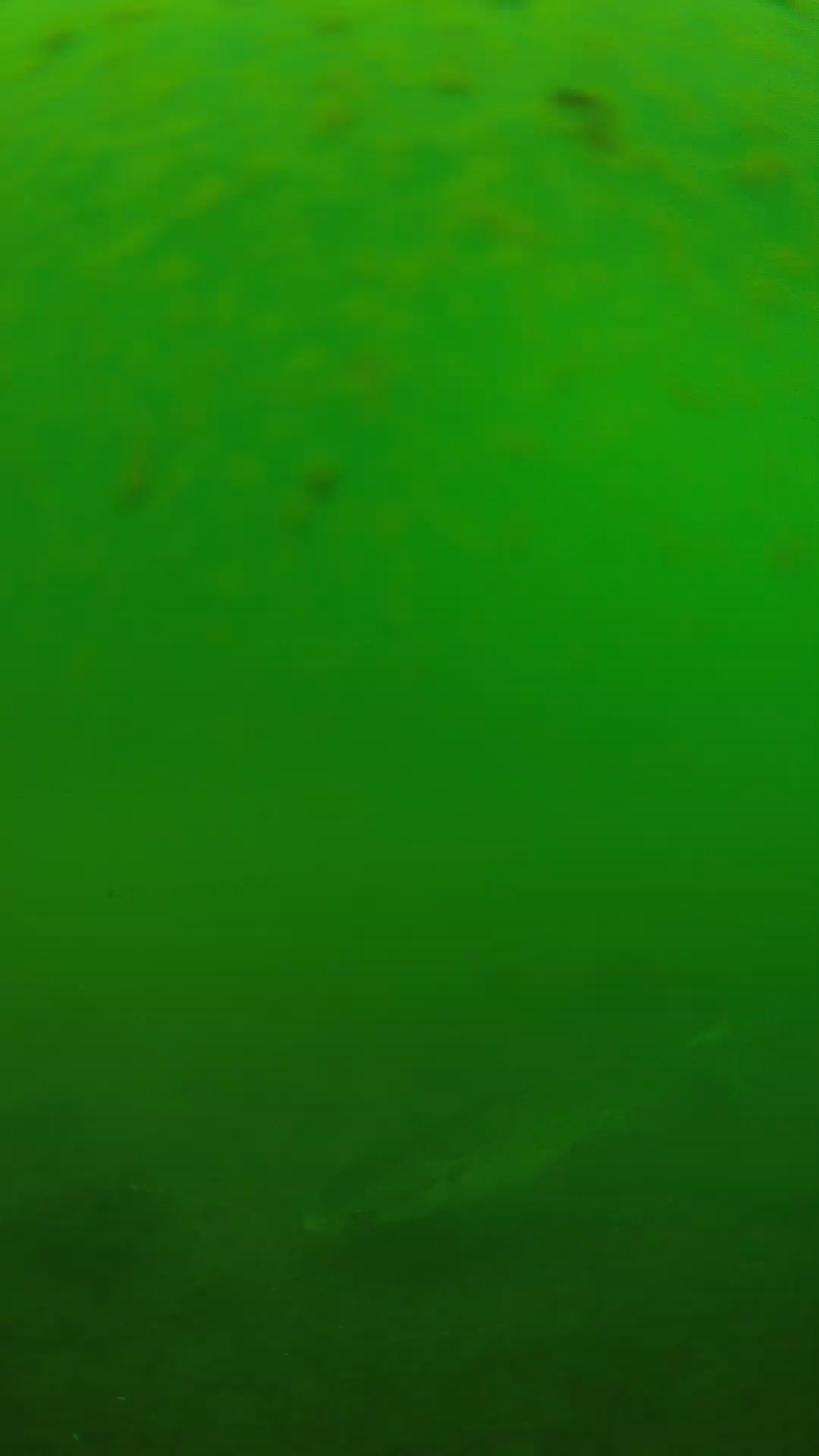 lander_ipcam_20240625100554.png