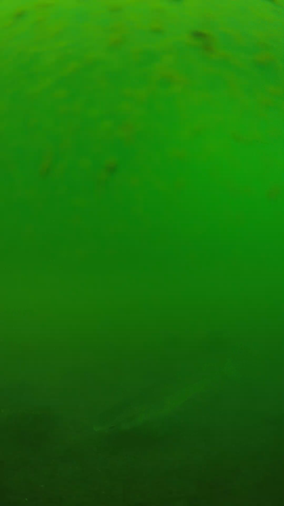 lander_ipcam_20240625100555.png