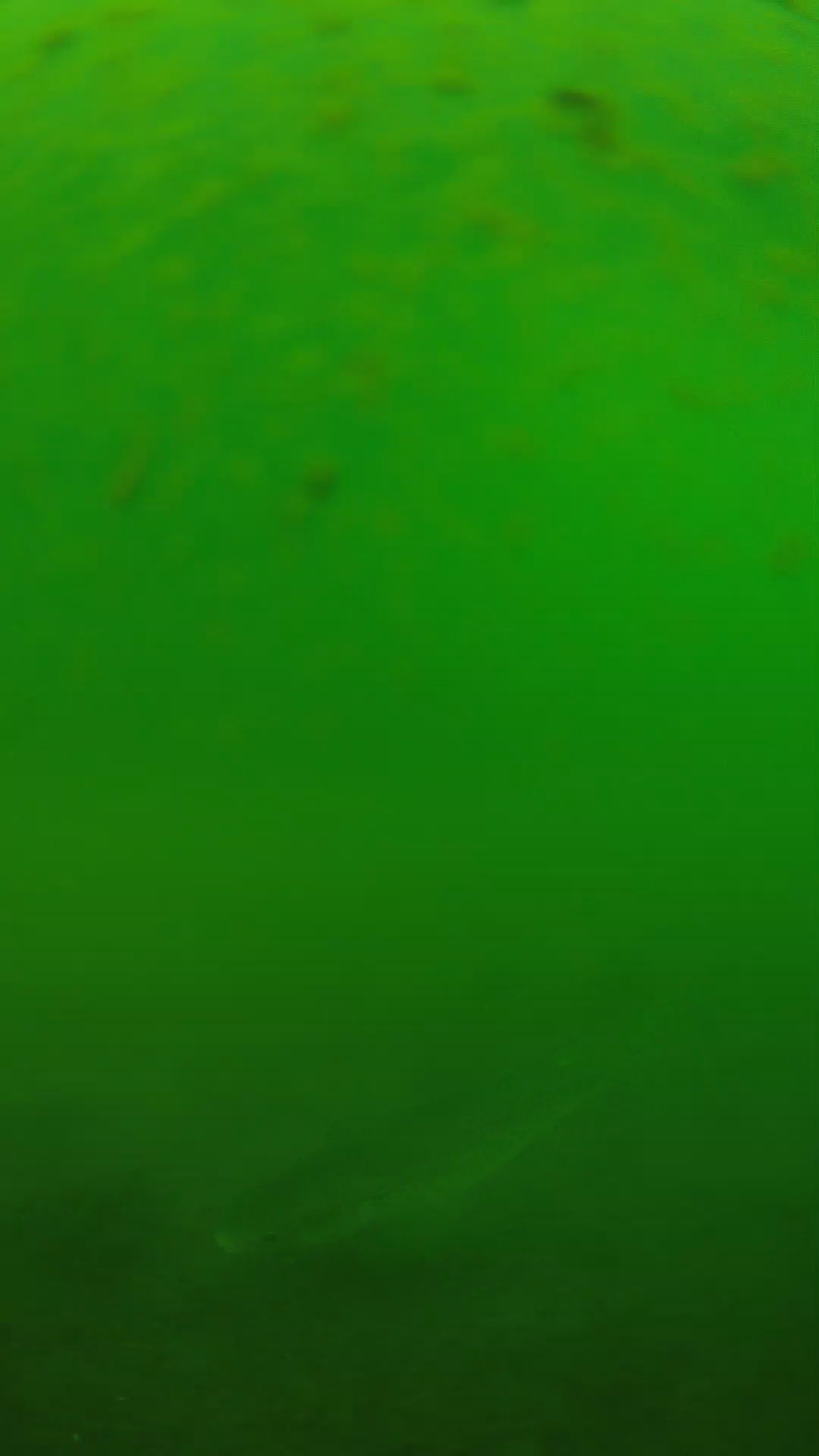 lander_ipcam_20240625100556.png