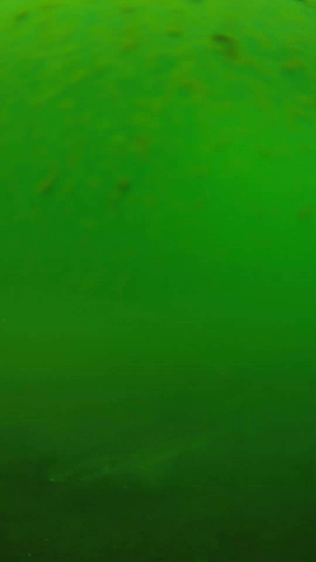 lander_ipcam_20240625100557.png