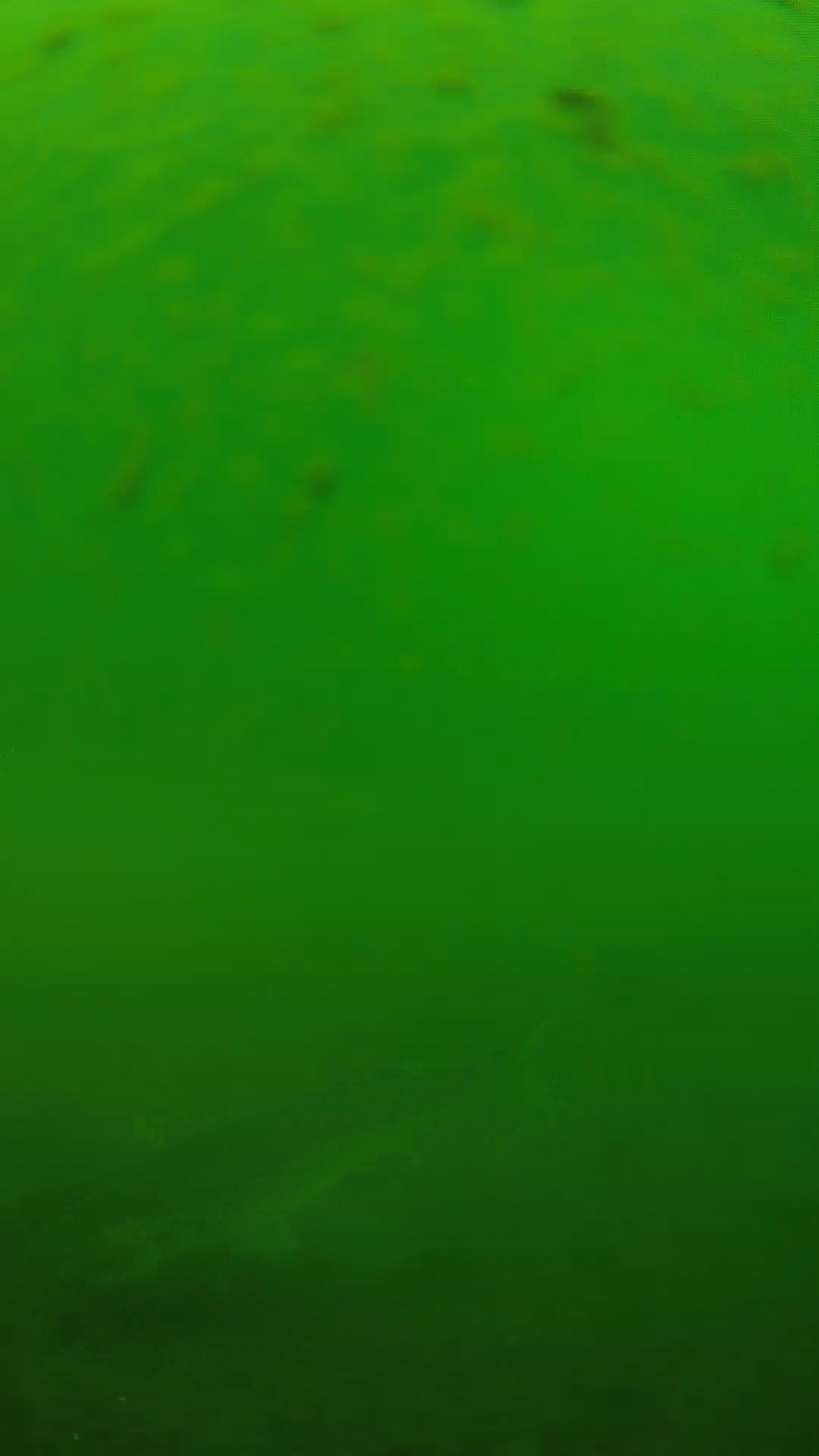 lander_ipcam_20240625100558.png