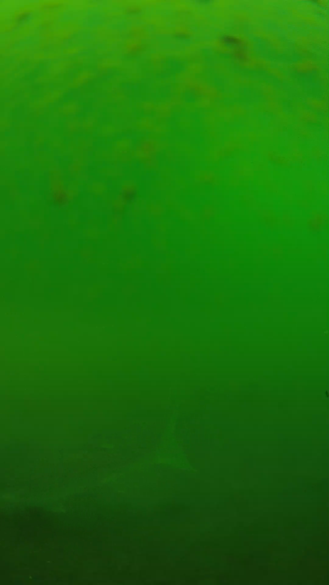 lander_ipcam_20240625100559.png