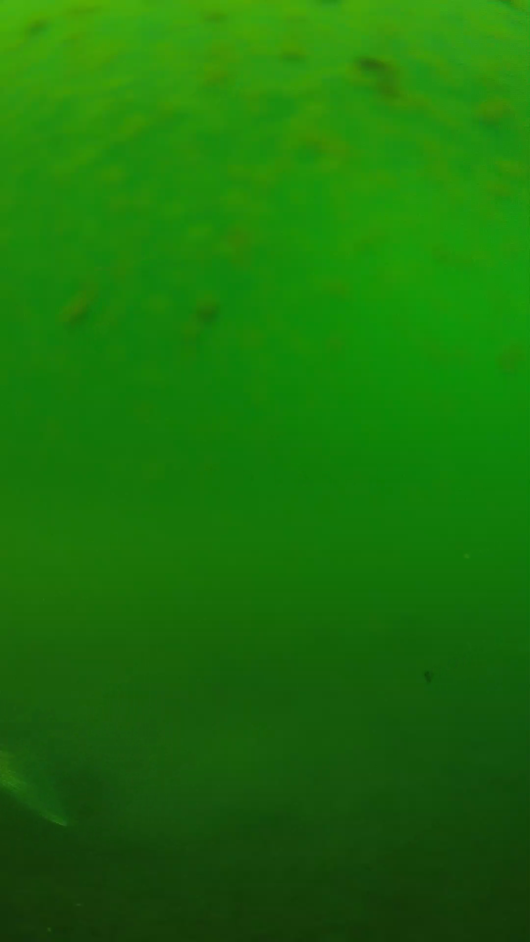 lander_ipcam_20240625100601.png