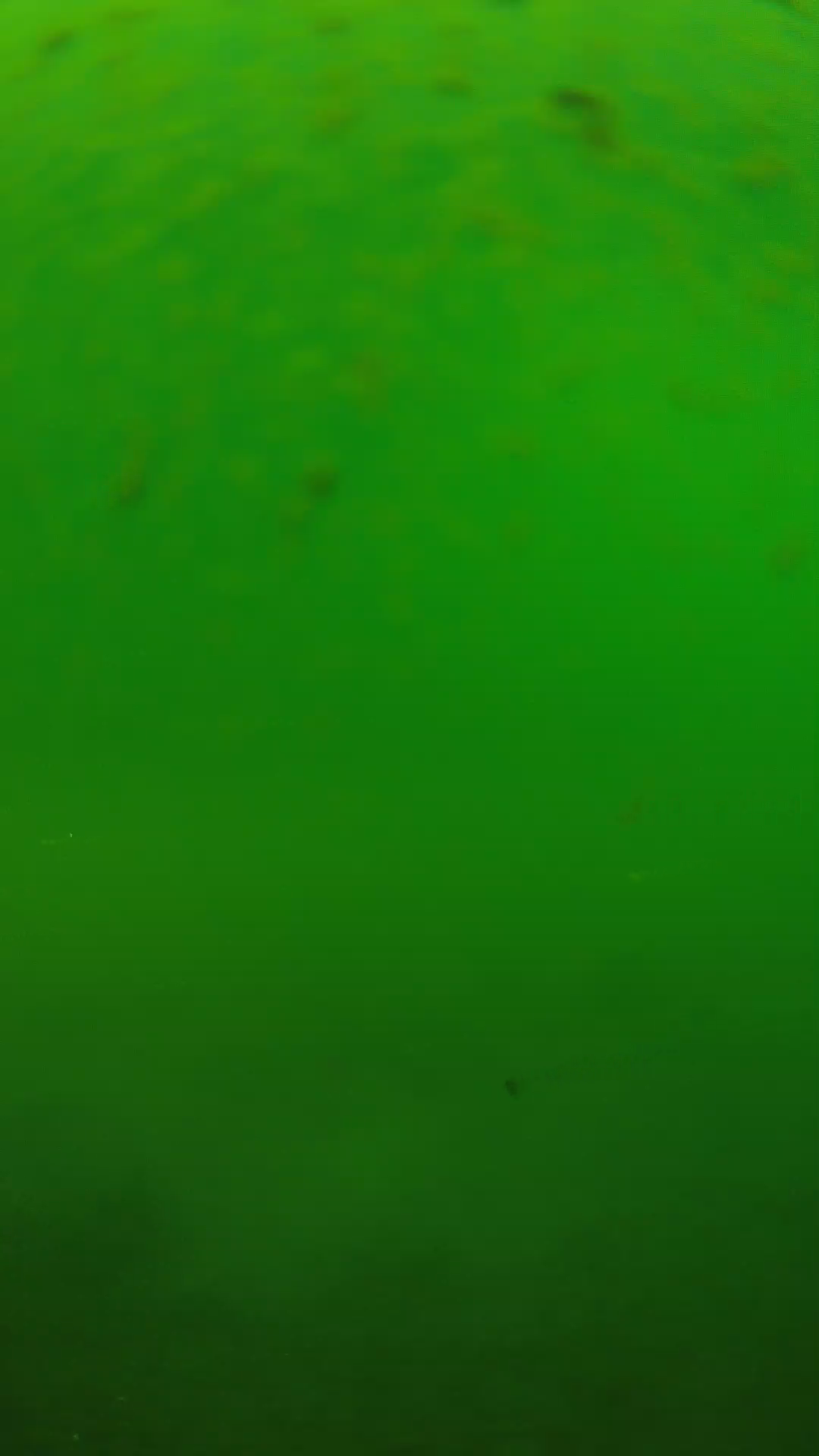 lander_ipcam_20240625100602.png