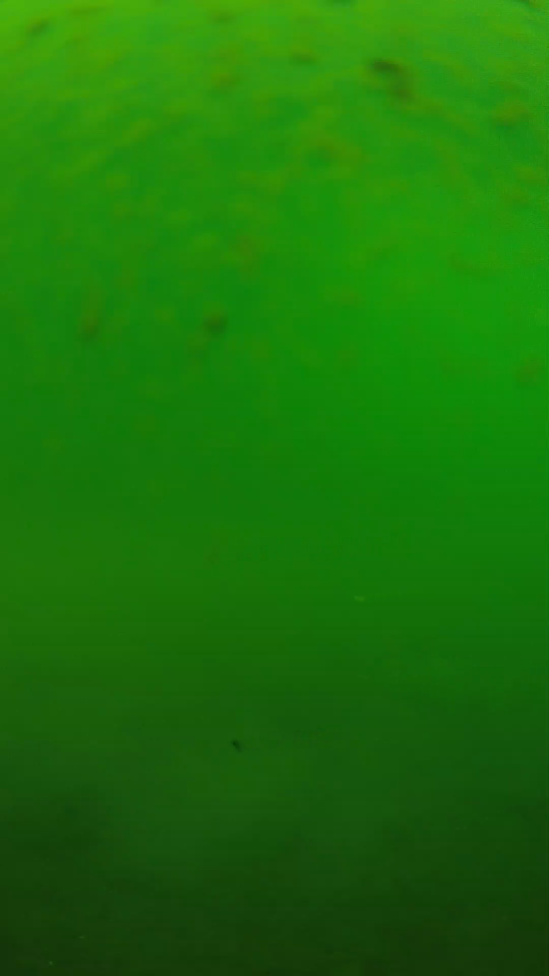lander_ipcam_20240625100603.png