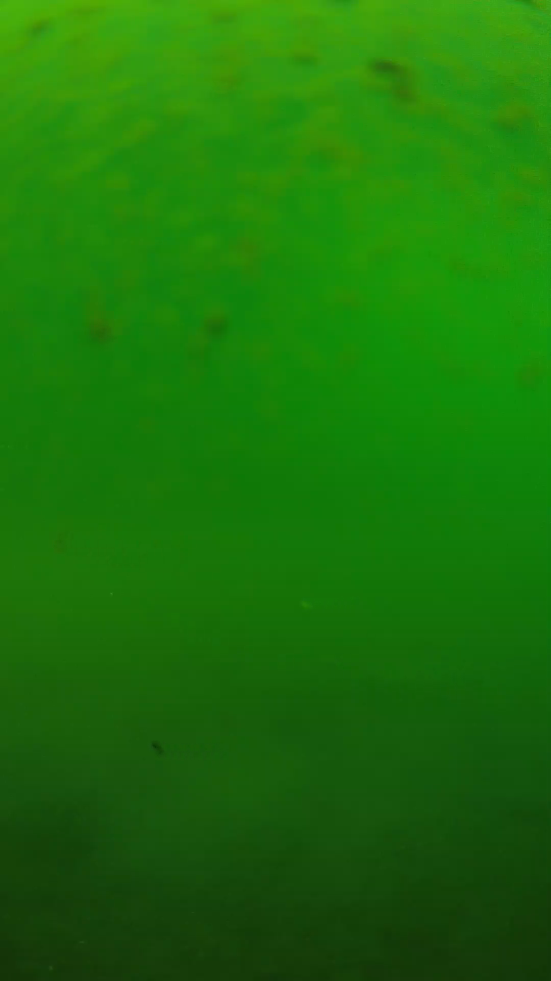 lander_ipcam_20240625100604.png