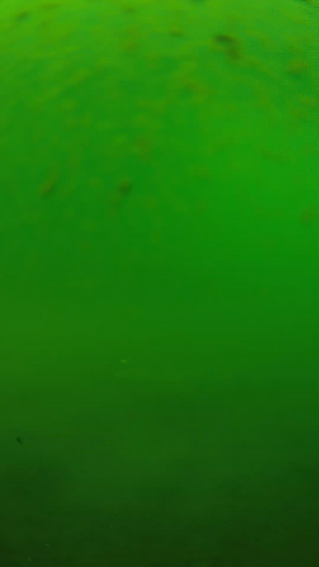 lander_ipcam_20240625100606.png