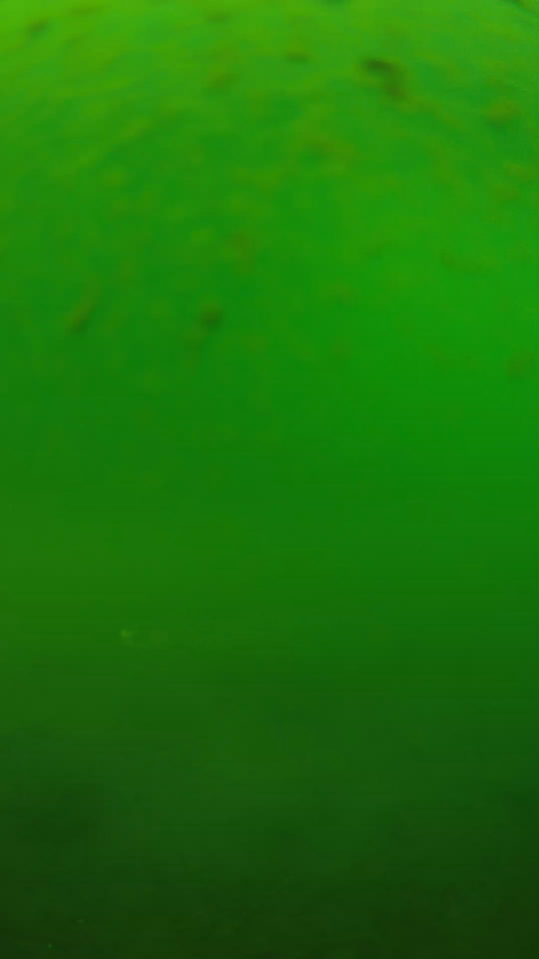 lander_ipcam_20240625100607.png