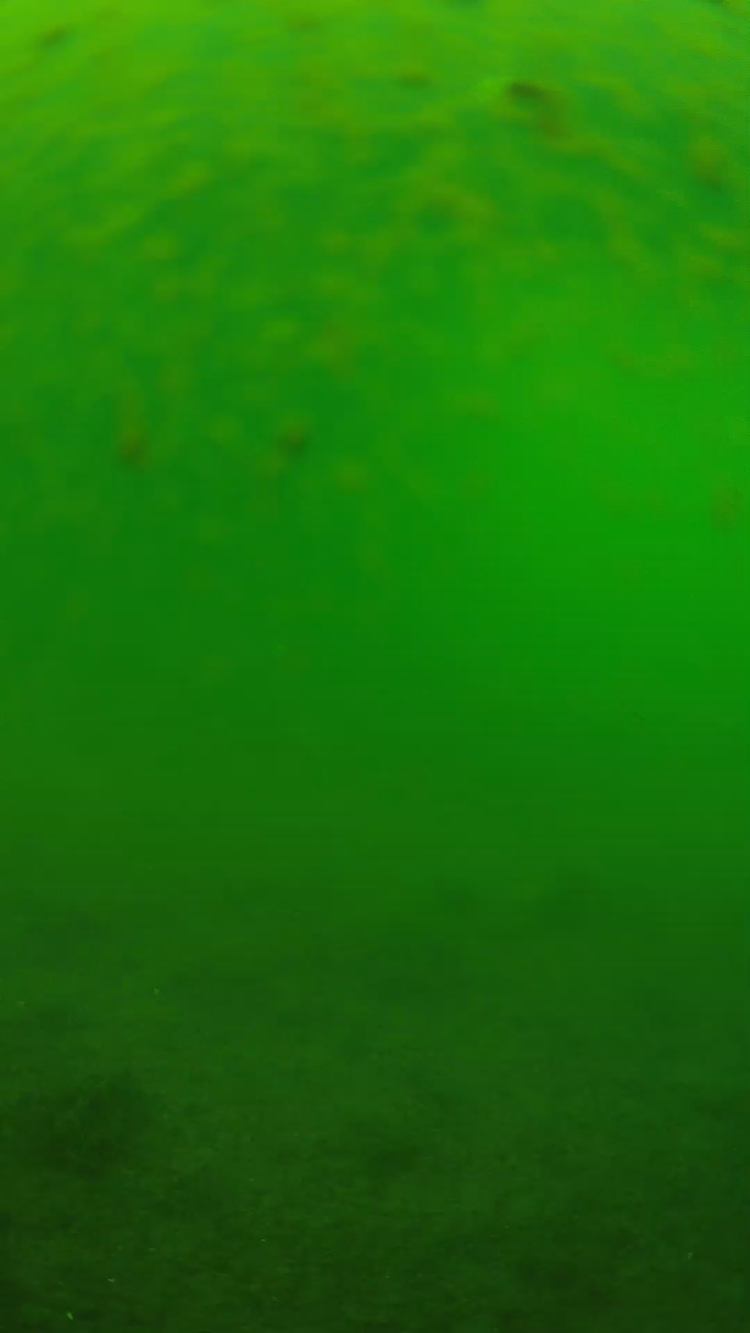 lander_ipcam_20240625110554.png