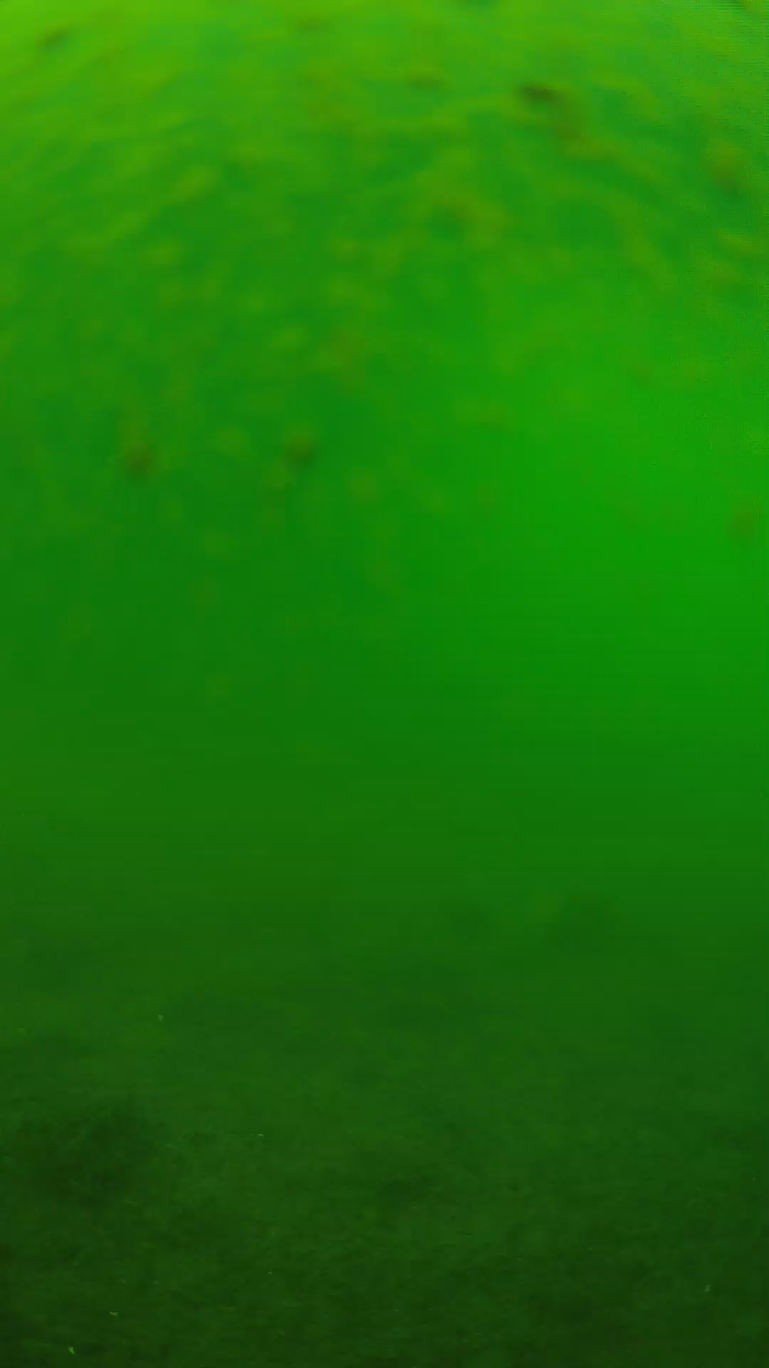 lander_ipcam_20240625110558.png