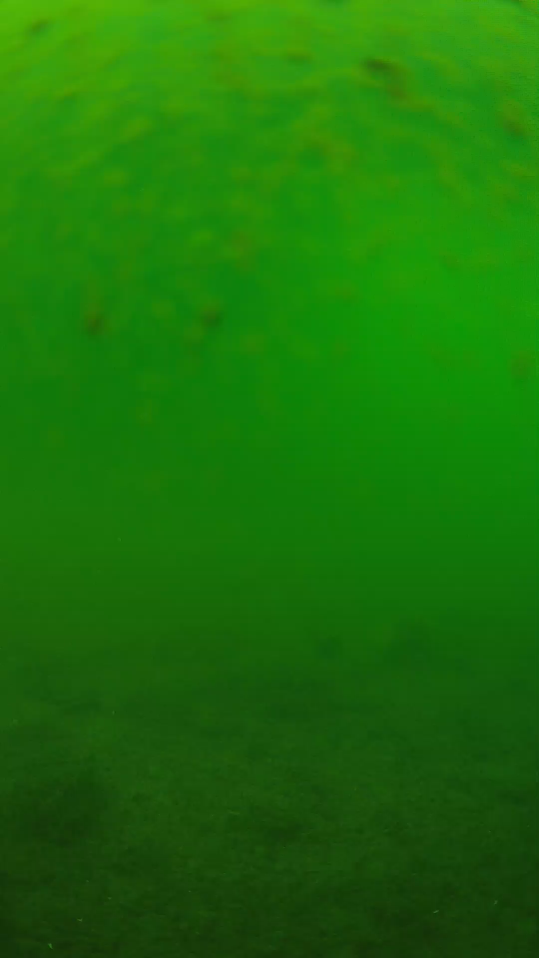 lander_ipcam_20240625113542.png