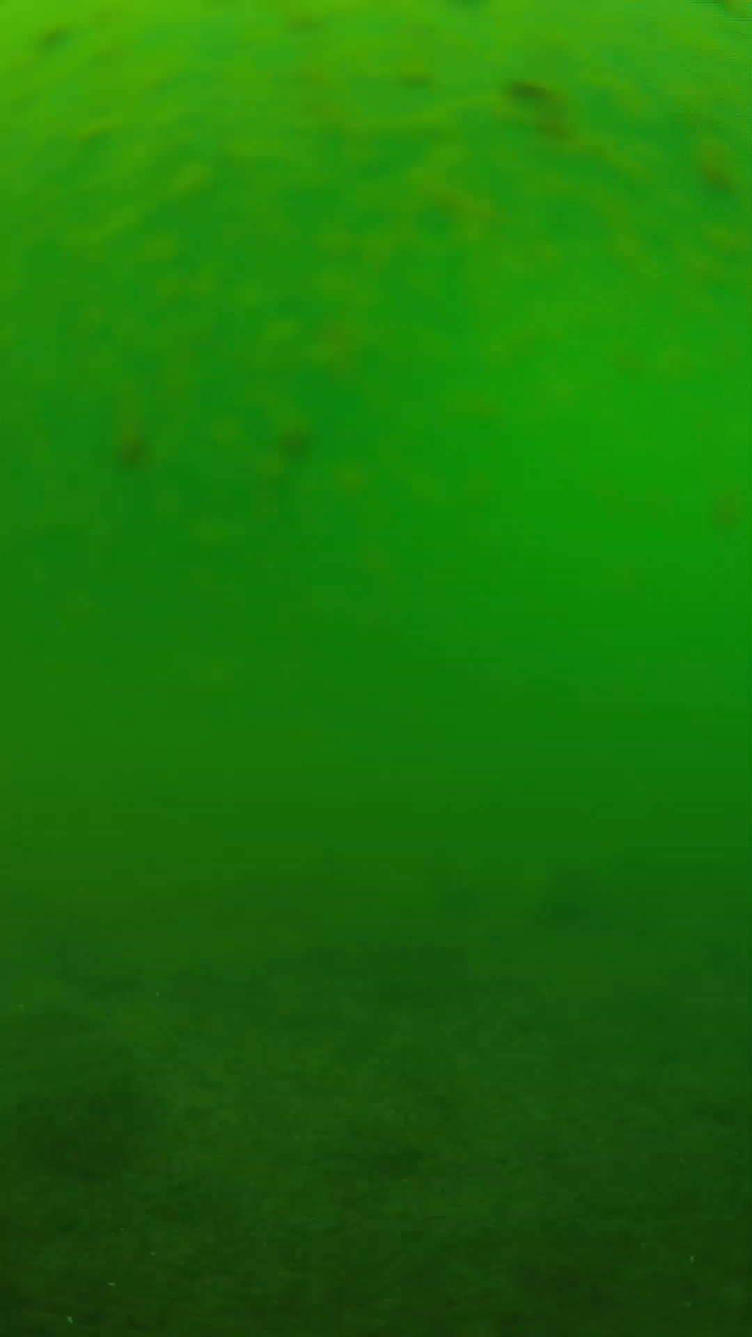 lander_ipcam_20240625113544.png