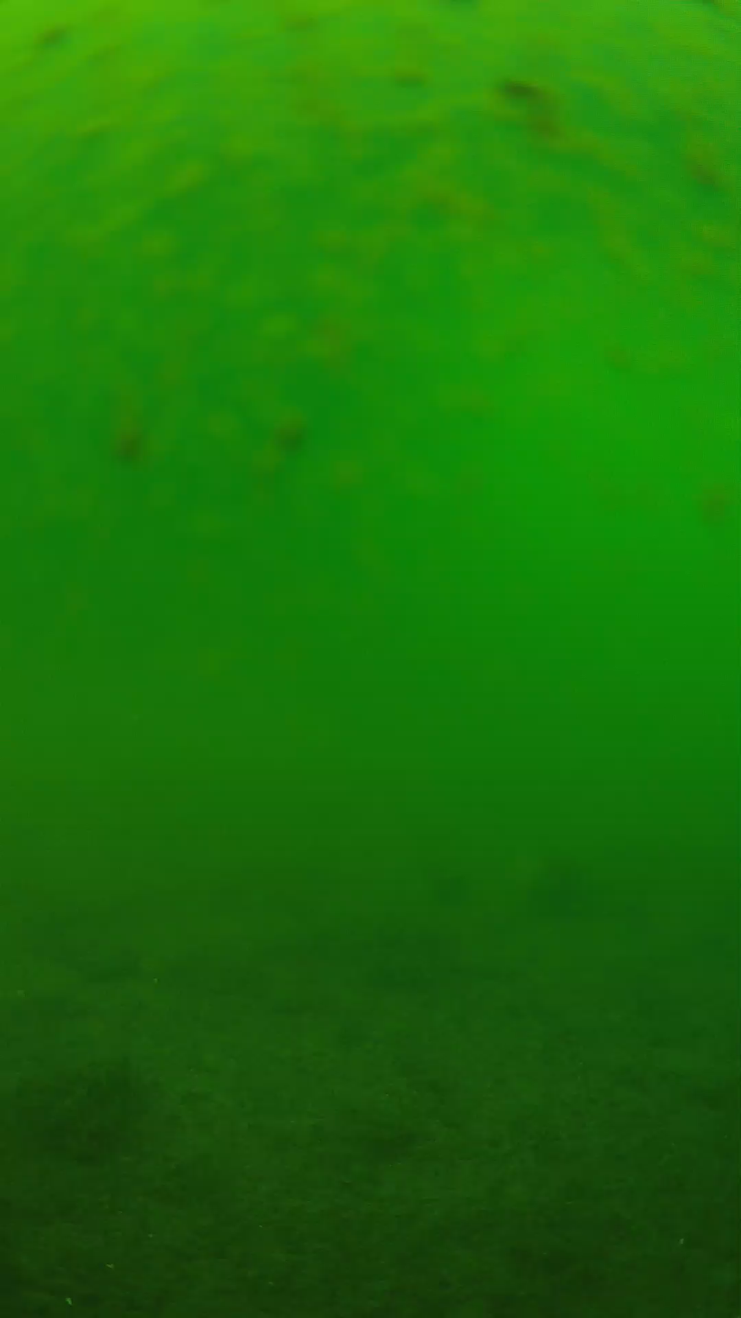 lander_ipcam_20240625113546.png