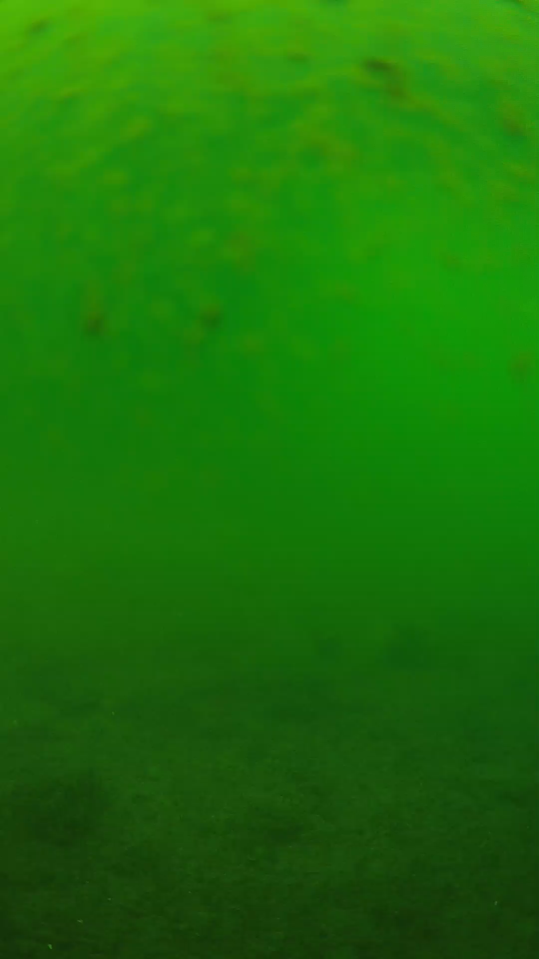 lander_ipcam_20240625113547.png