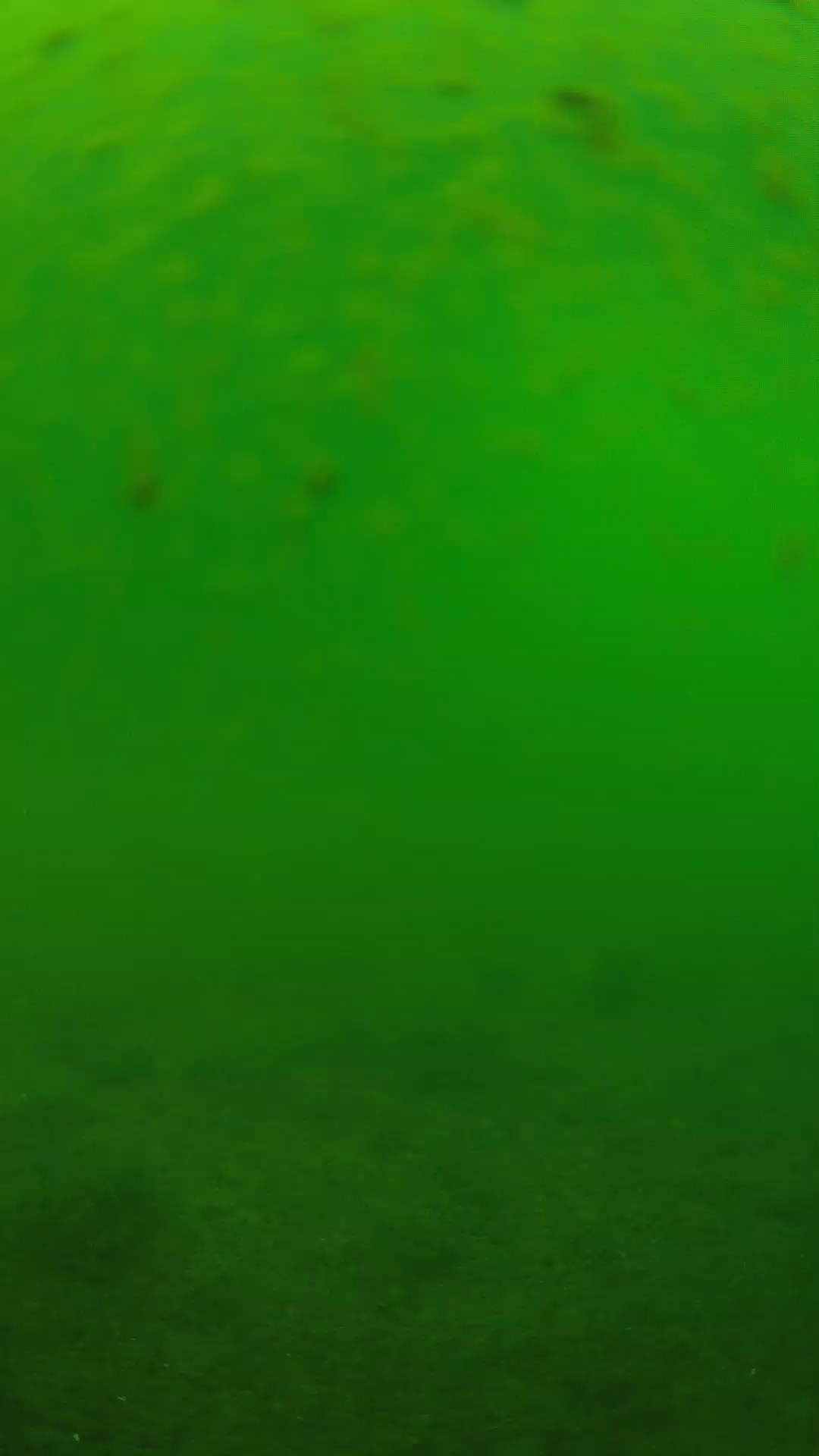 lander_ipcam_20240625113551.png
