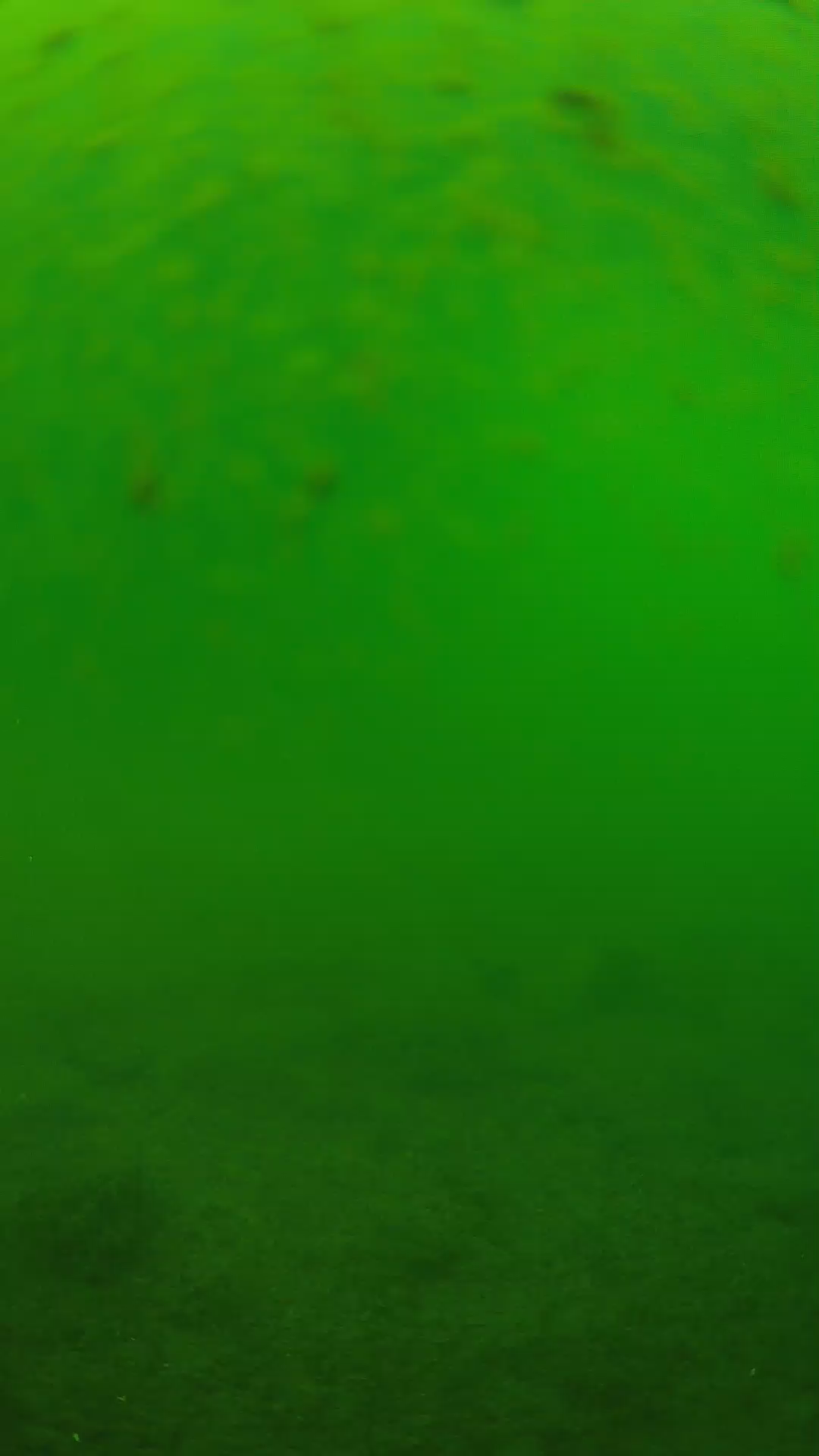 lander_ipcam_20240625113556.png