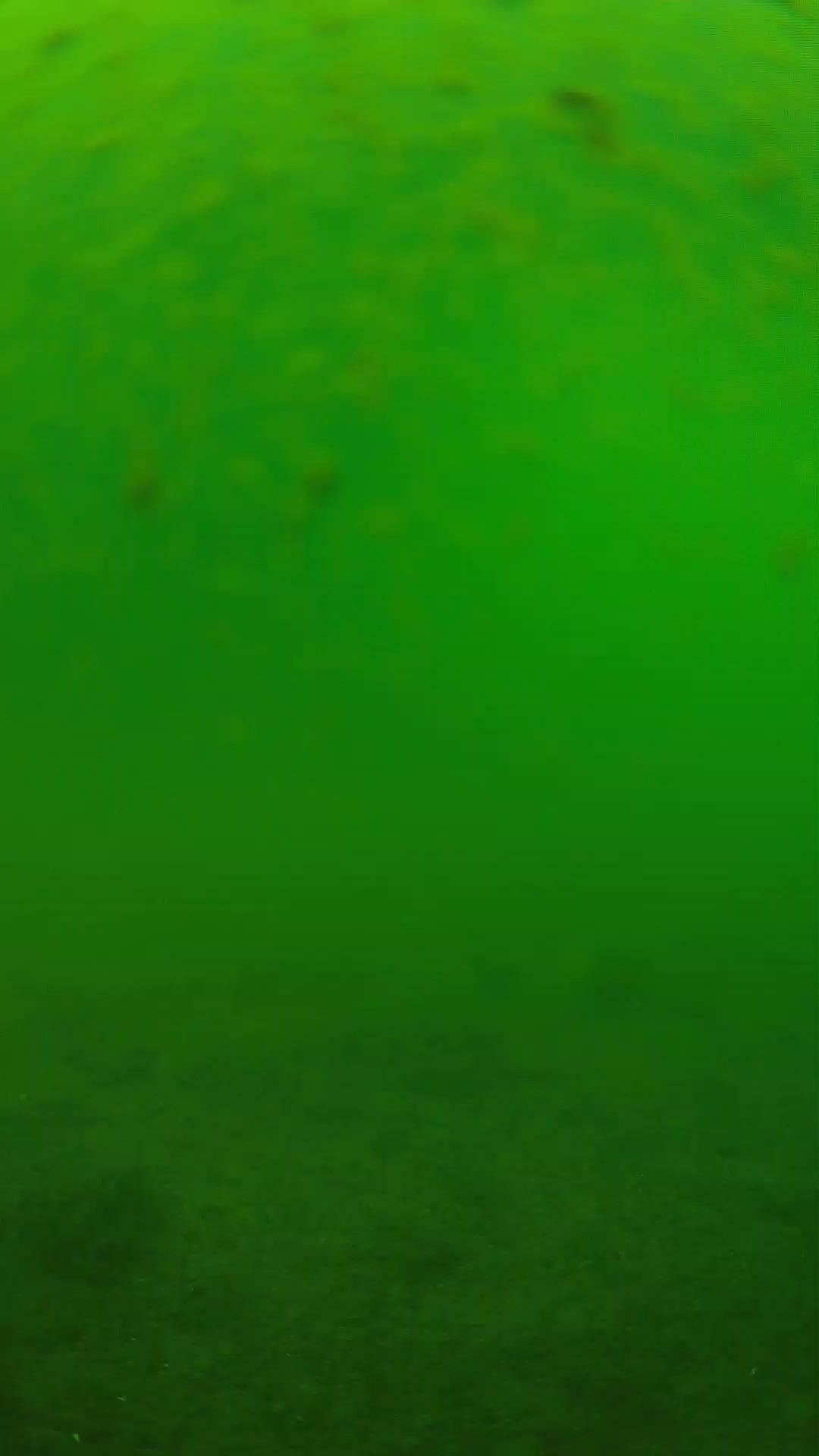lander_ipcam_20240625113558.png