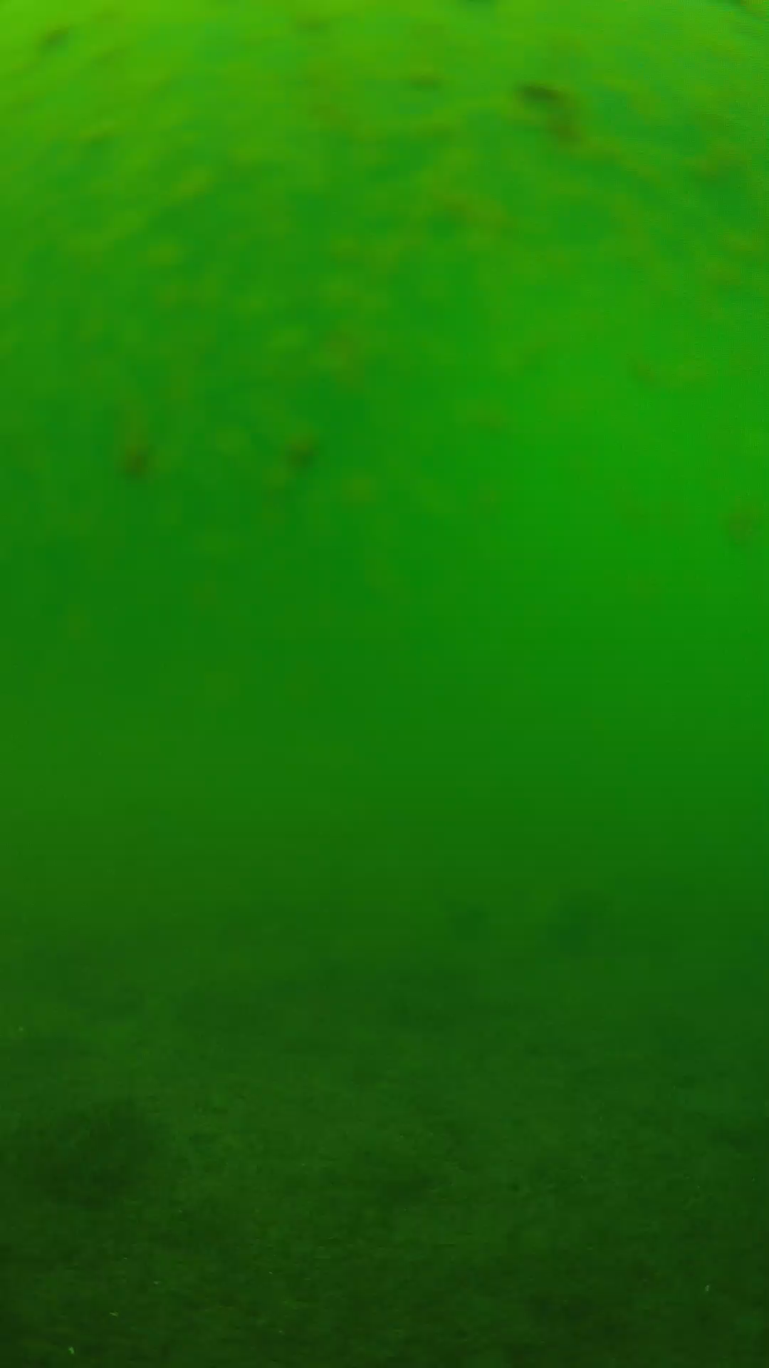 lander_ipcam_20240625113606.png