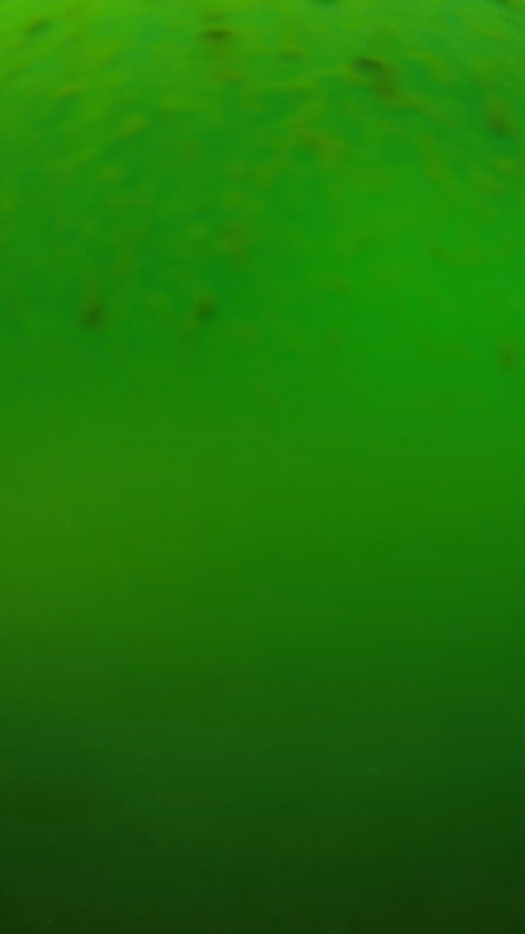 lander_ipcam_20240625120538.png