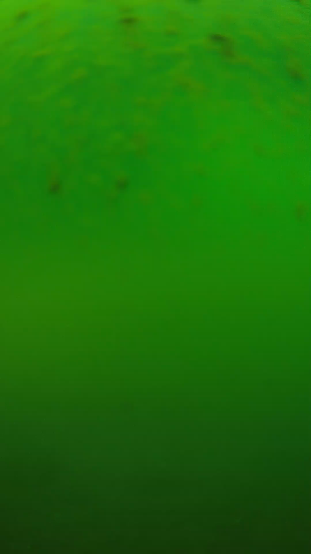 lander_ipcam_20240625120540.png