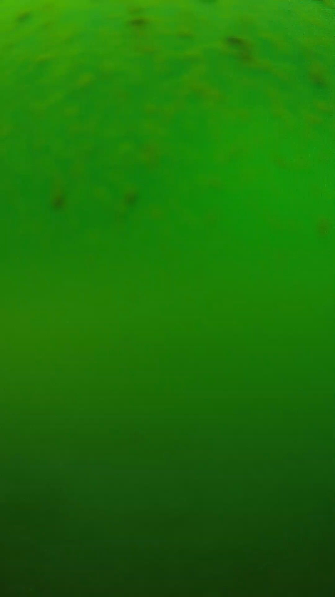 lander_ipcam_20240625120541.png