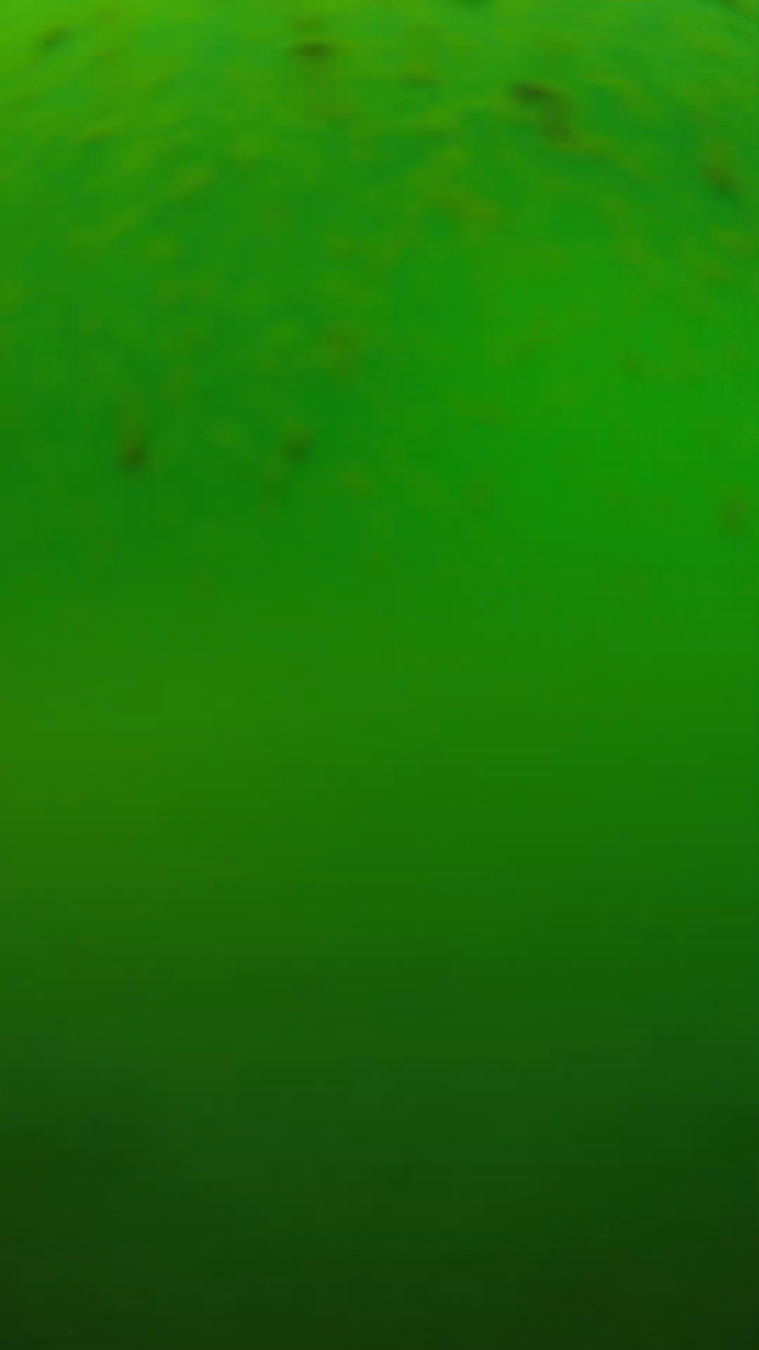 lander_ipcam_20240625120543.png