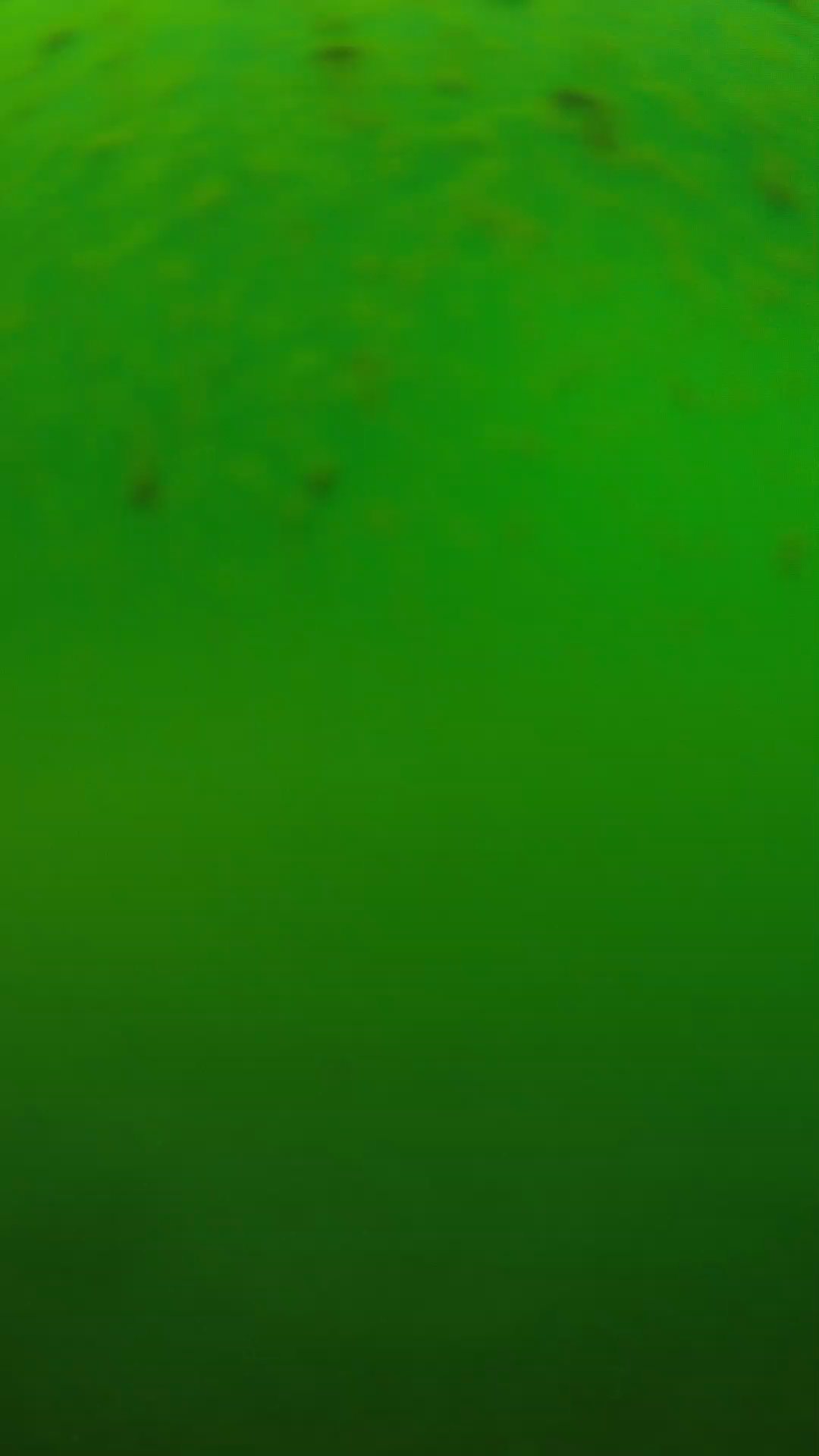 lander_ipcam_20240625120545.png